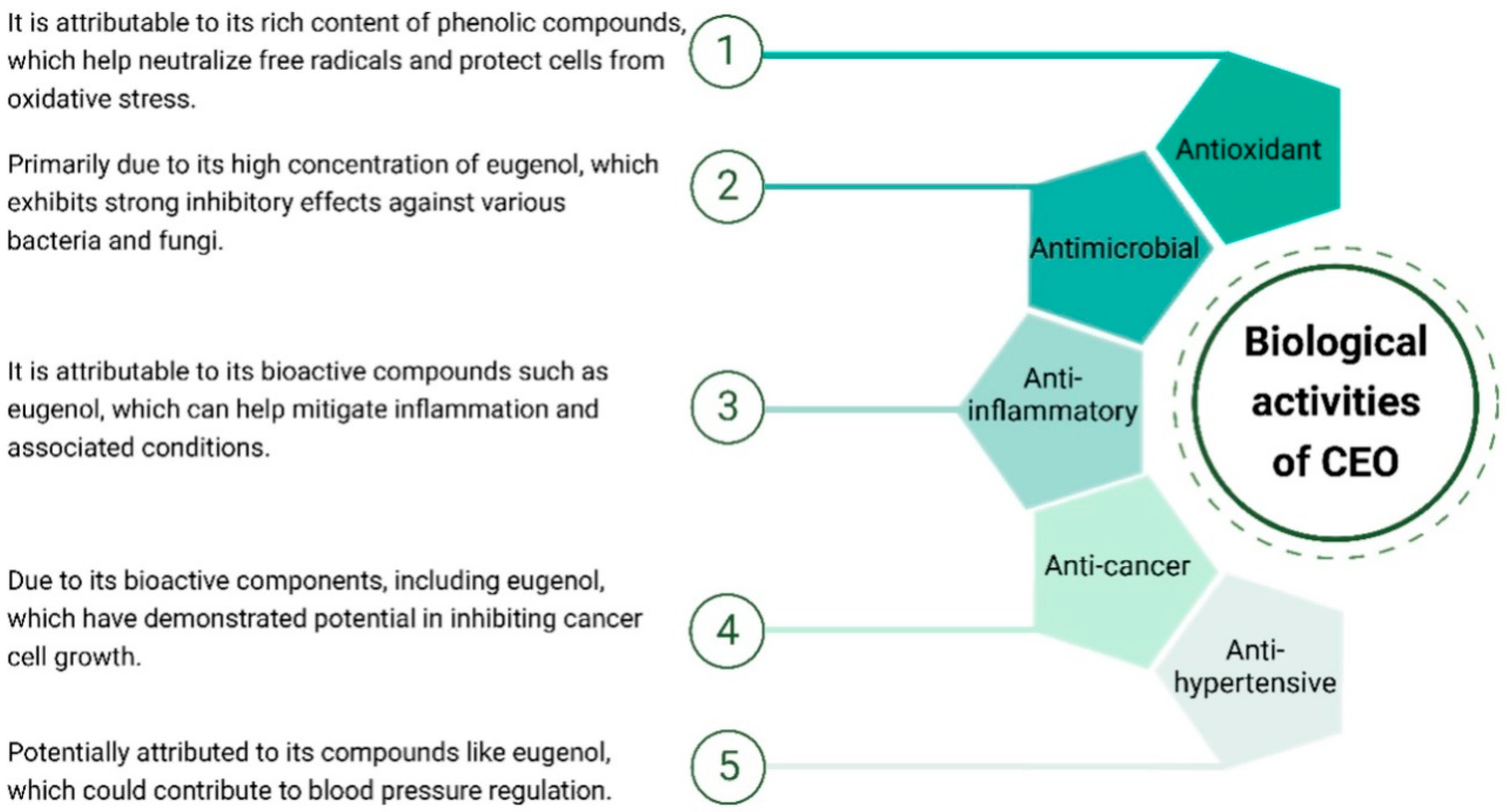 Antioxidants 13 00488 g003