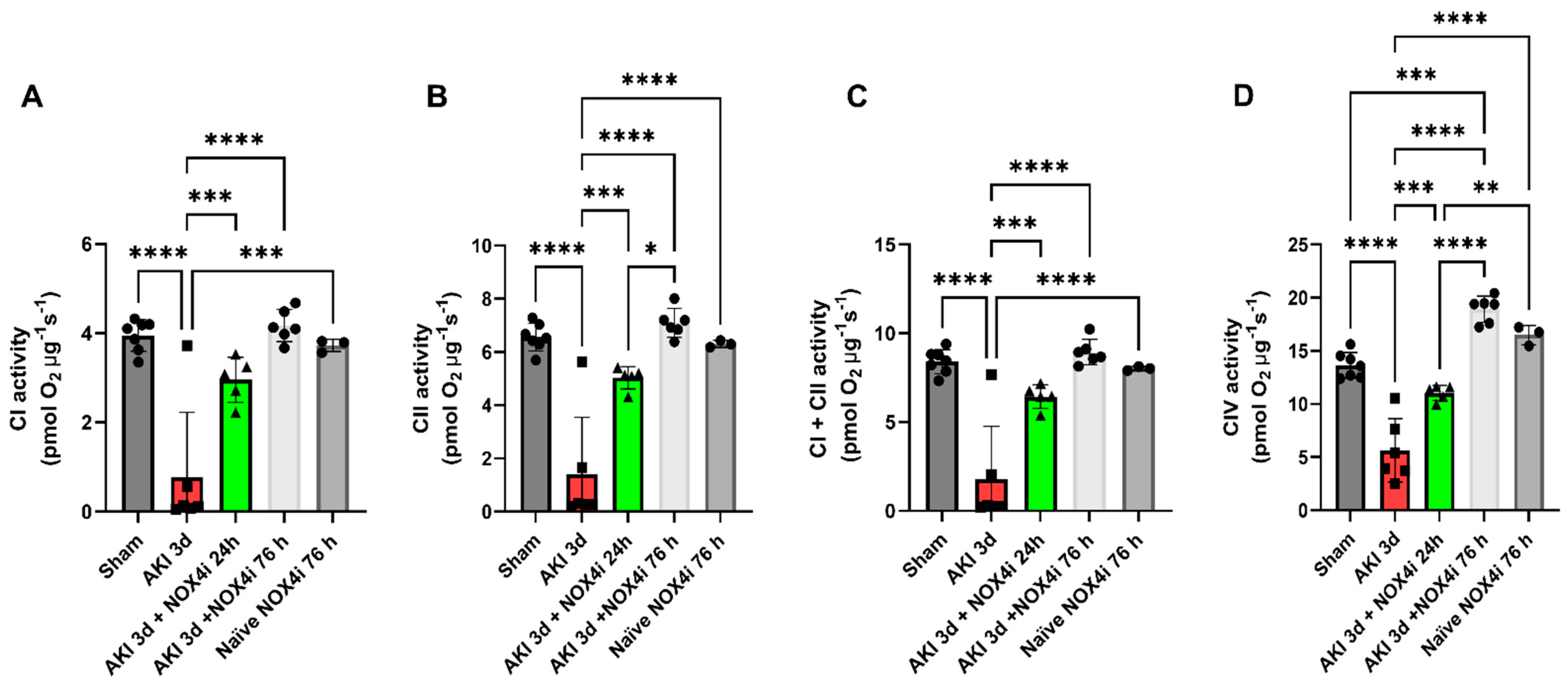 Antioxidants 13 00489 g005