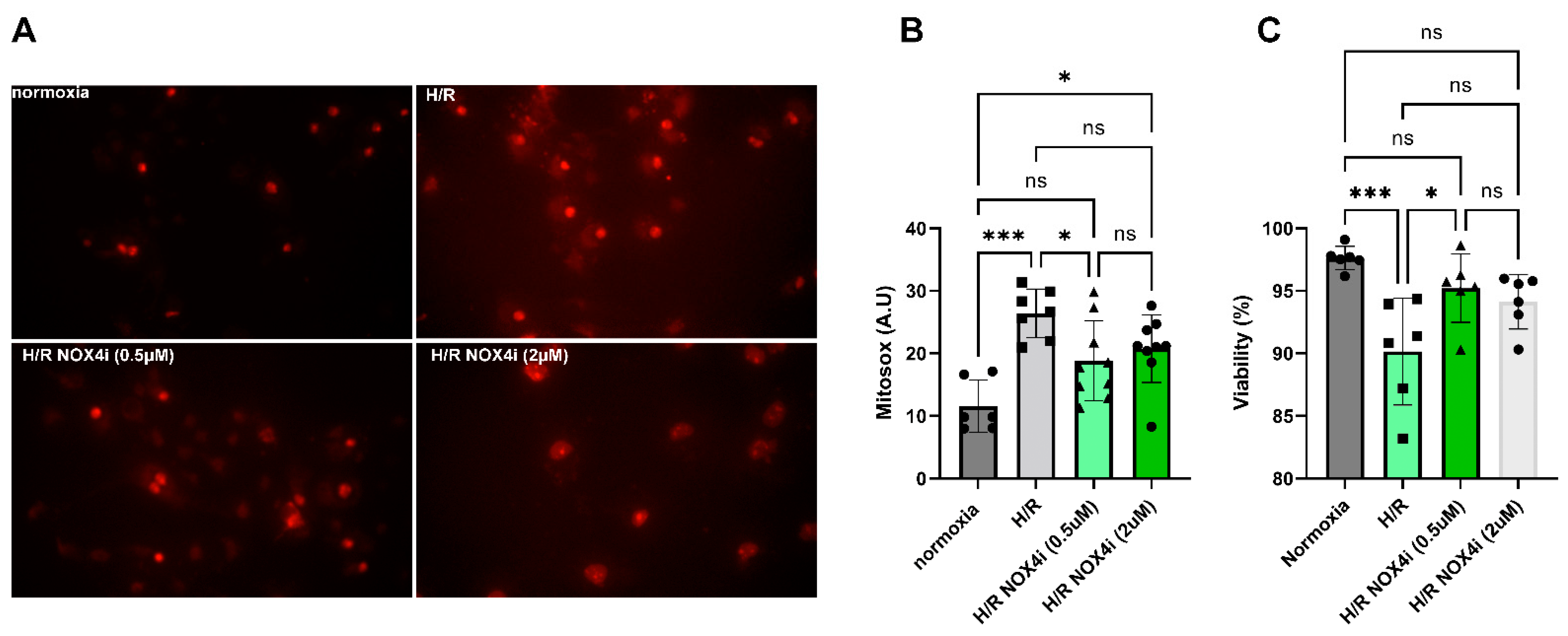 Antioxidants 13 00489 g009