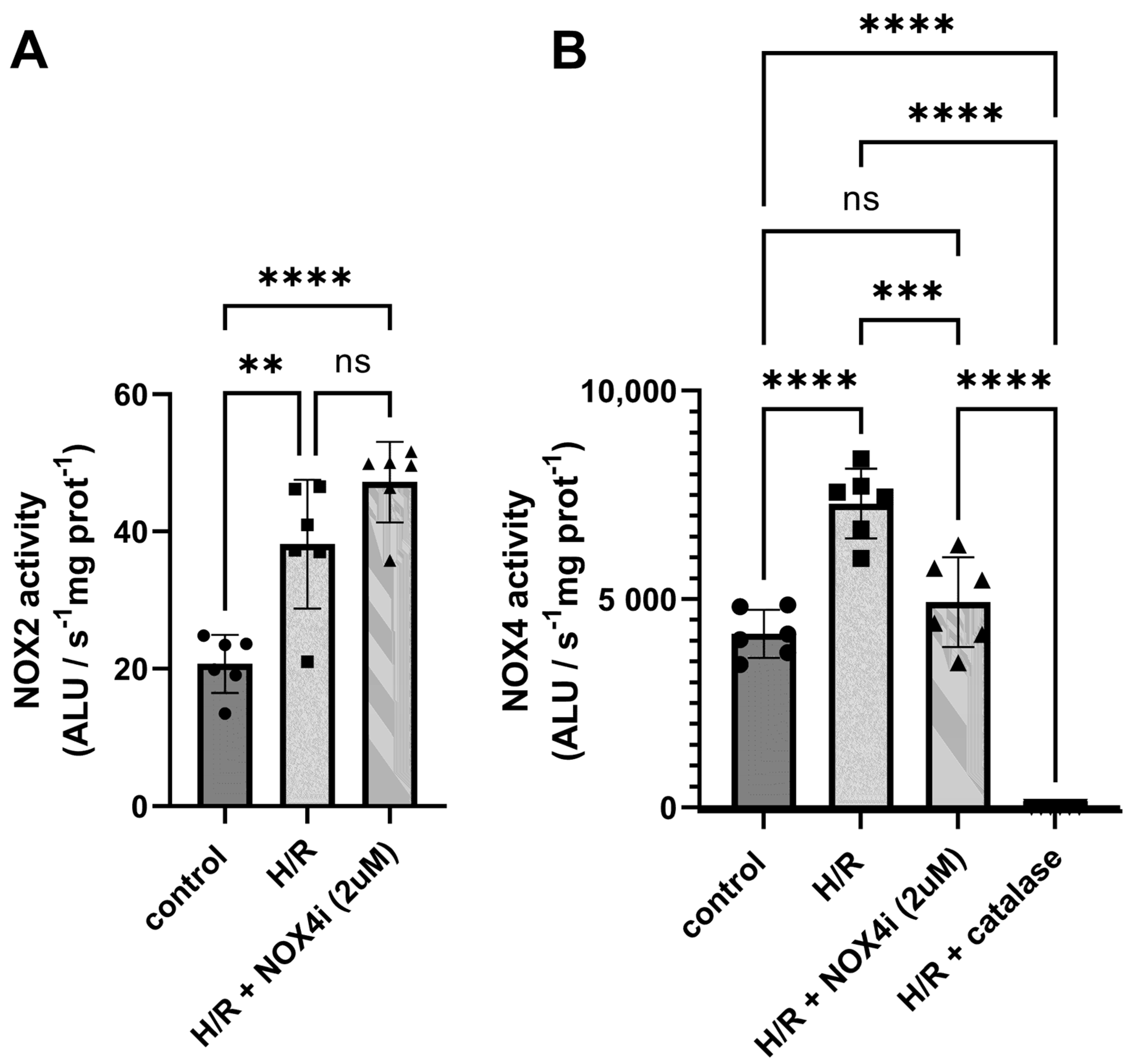 Antioxidants 13 00489 g011