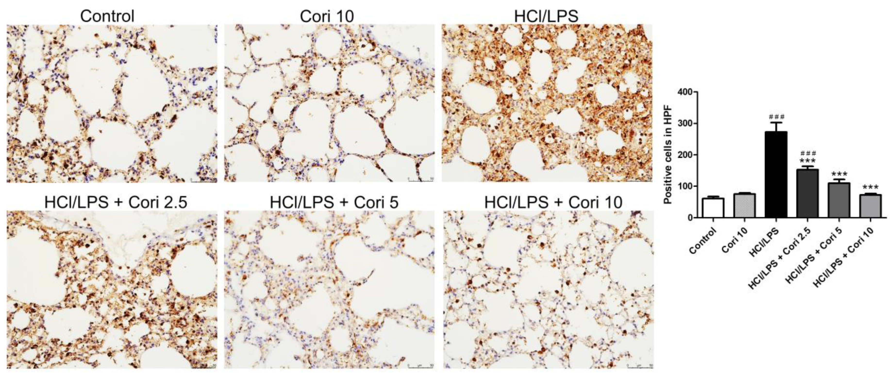 Antioxidants 13 00491 g004