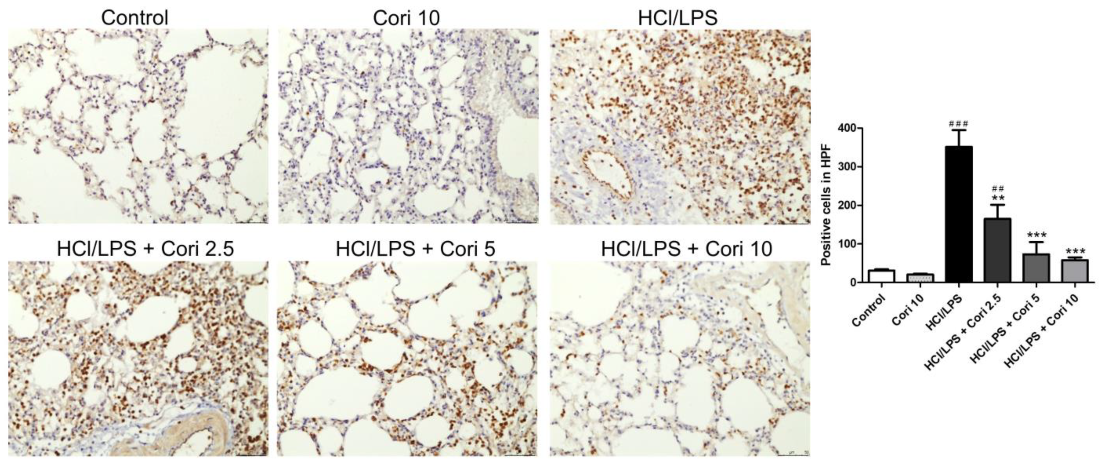 Antioxidants 13 00491 g007