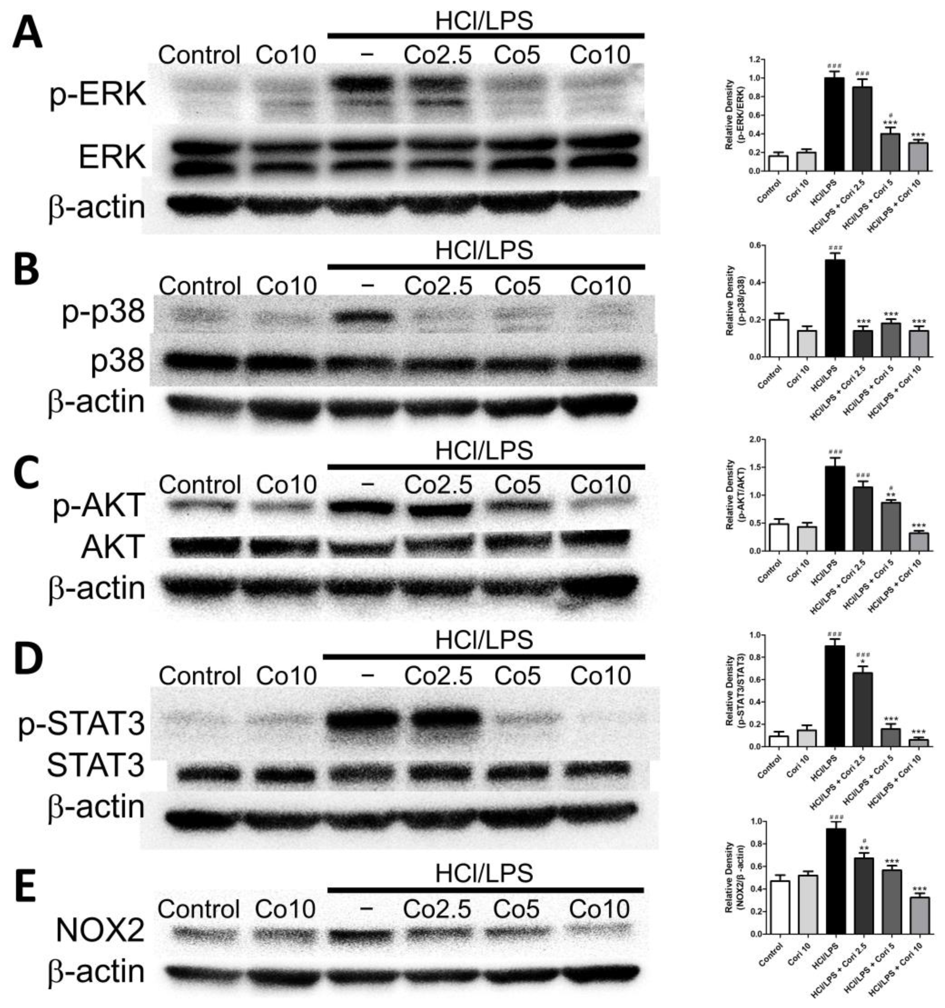 Antioxidants 13 00491 g009