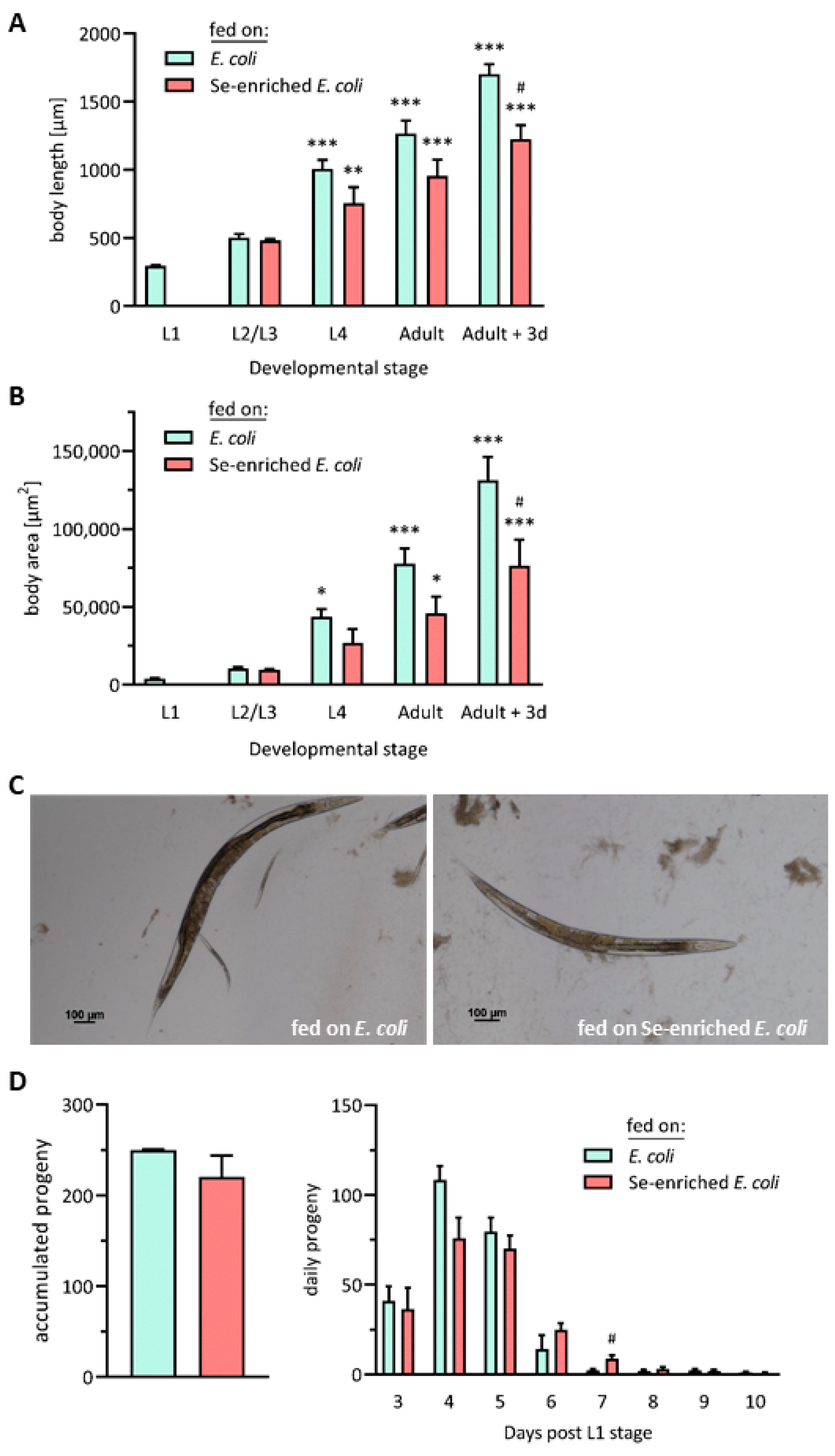 Antioxidants 13 00492 g002