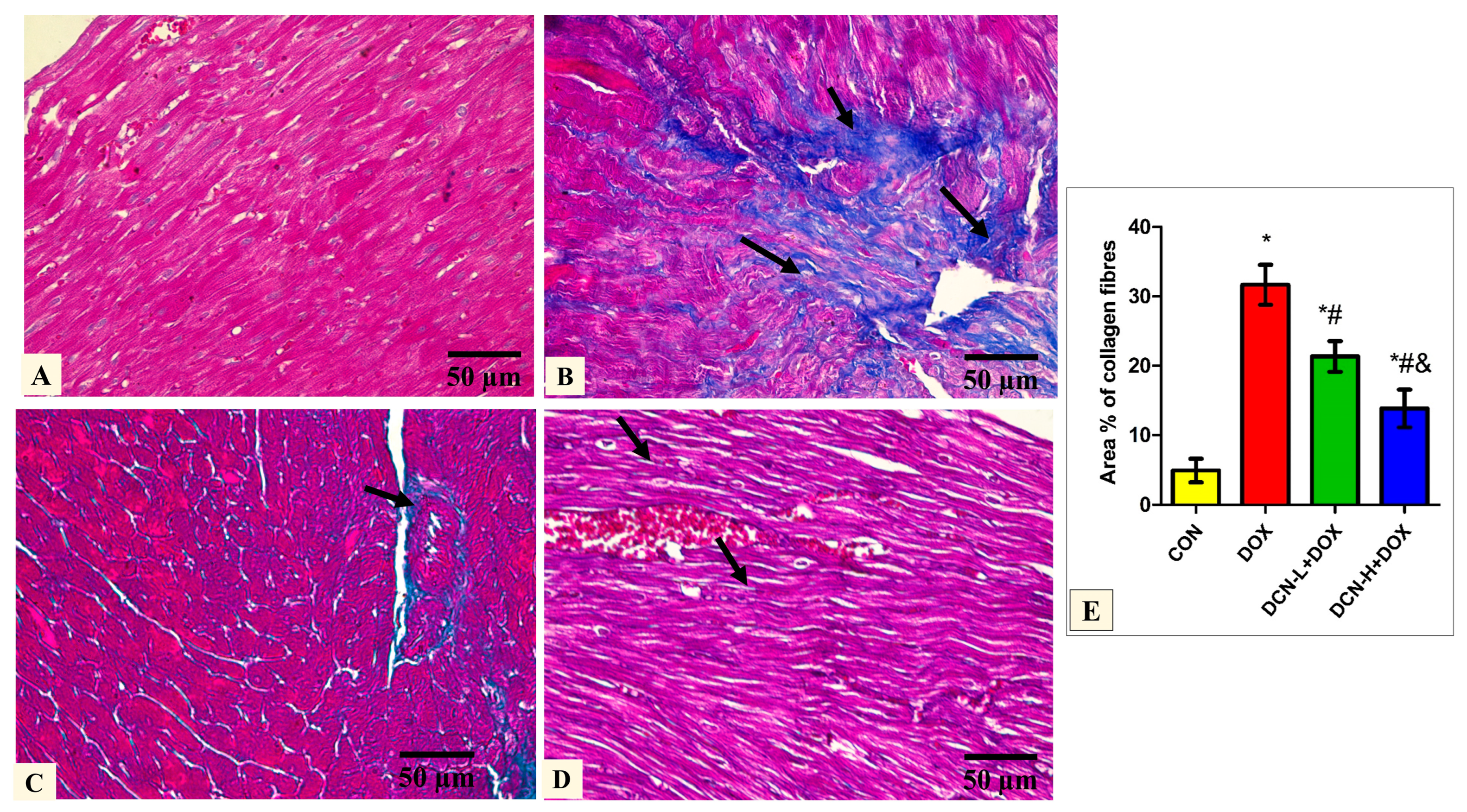 Antioxidants 13 00493 g004