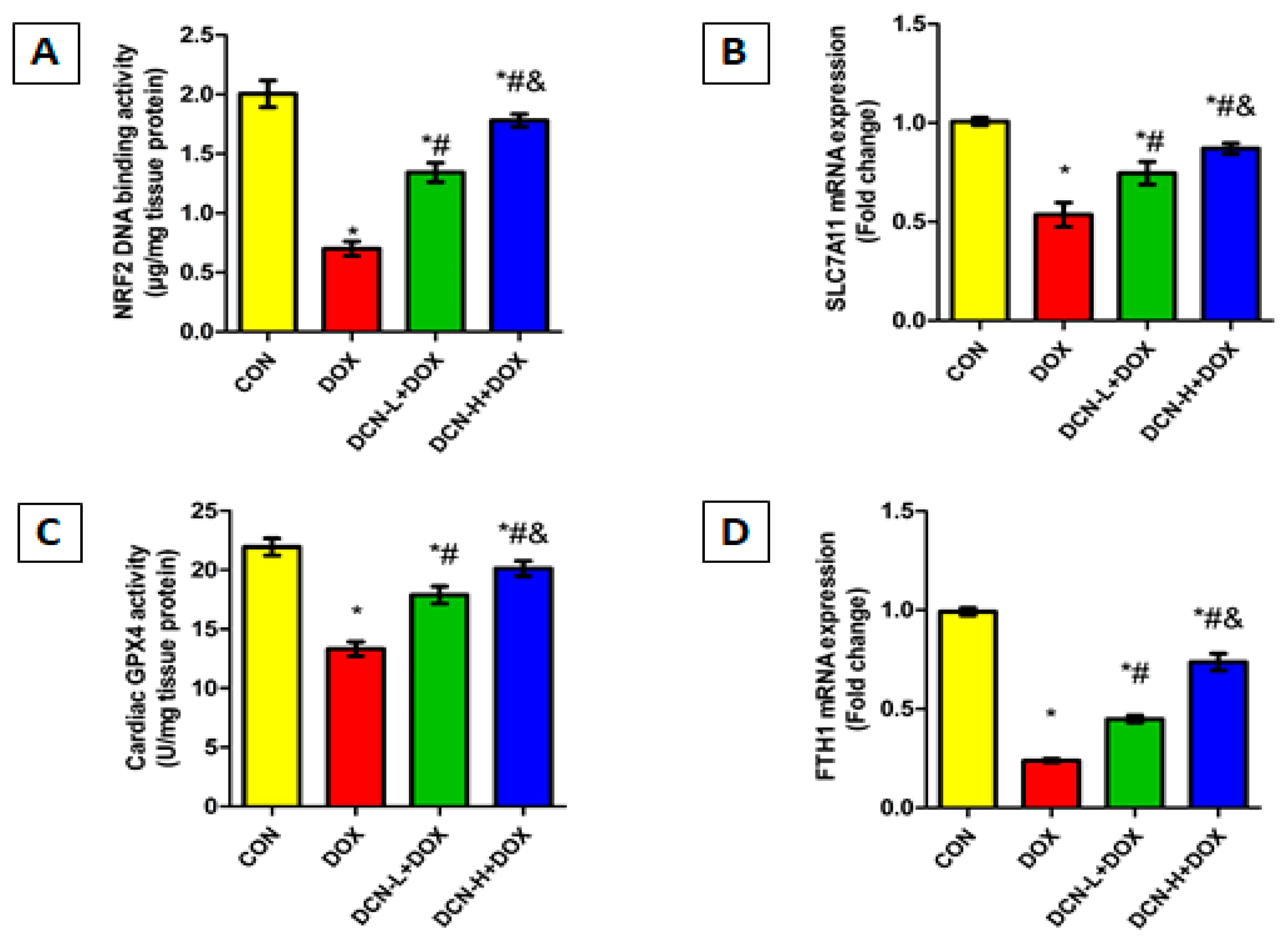 Antioxidants 13 00493 g007