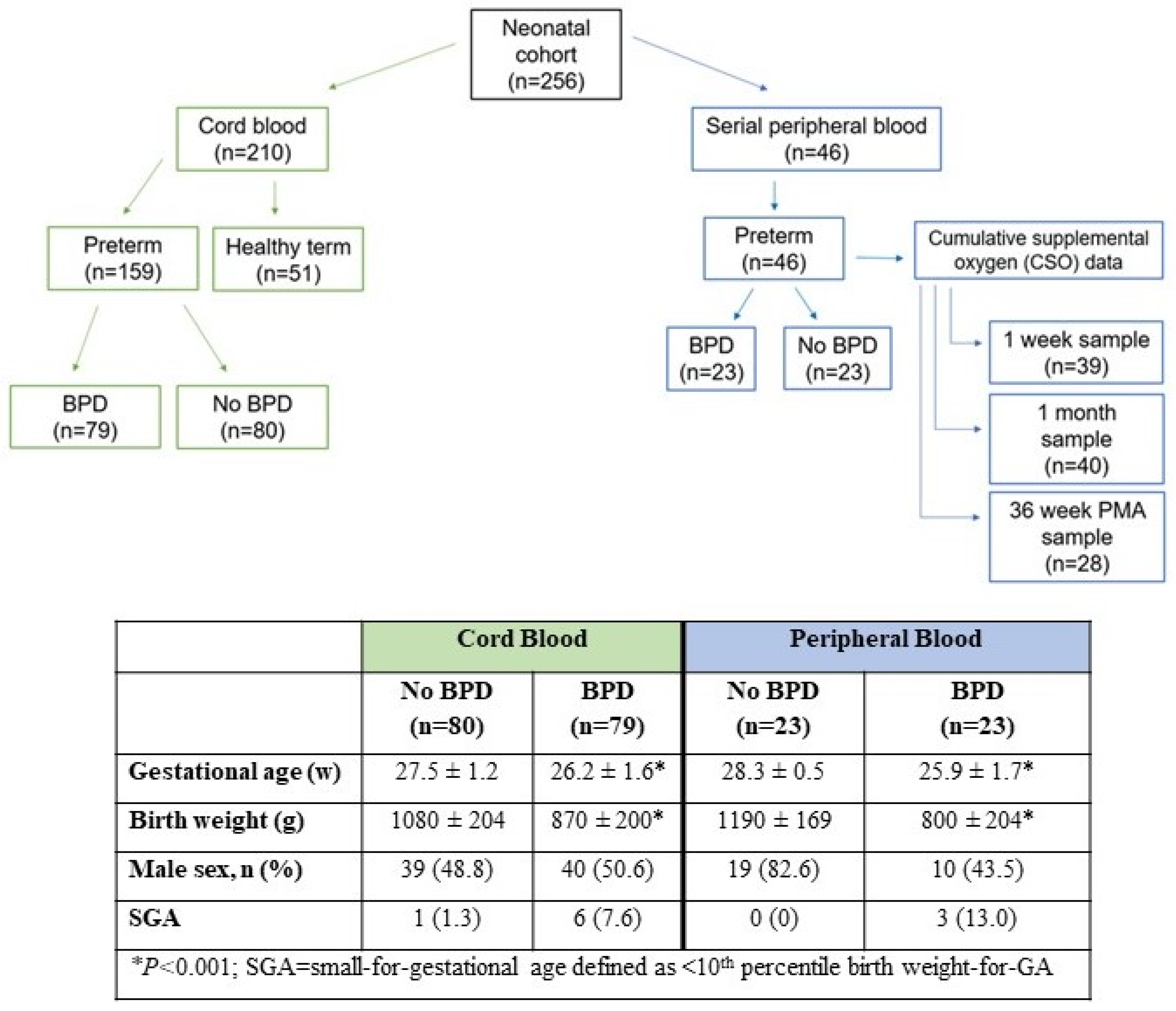 Antioxidants 13 00494 g002