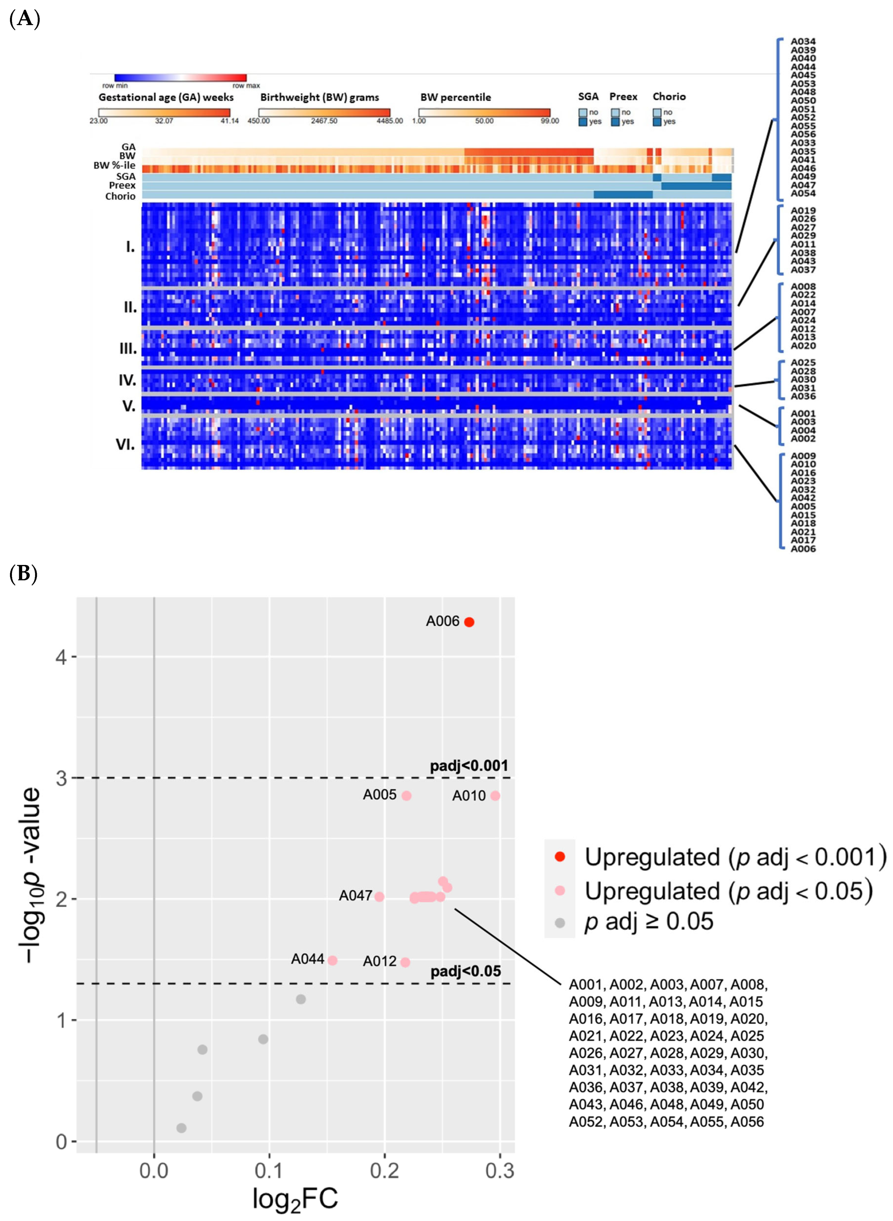 Antioxidants 13 00494 g004