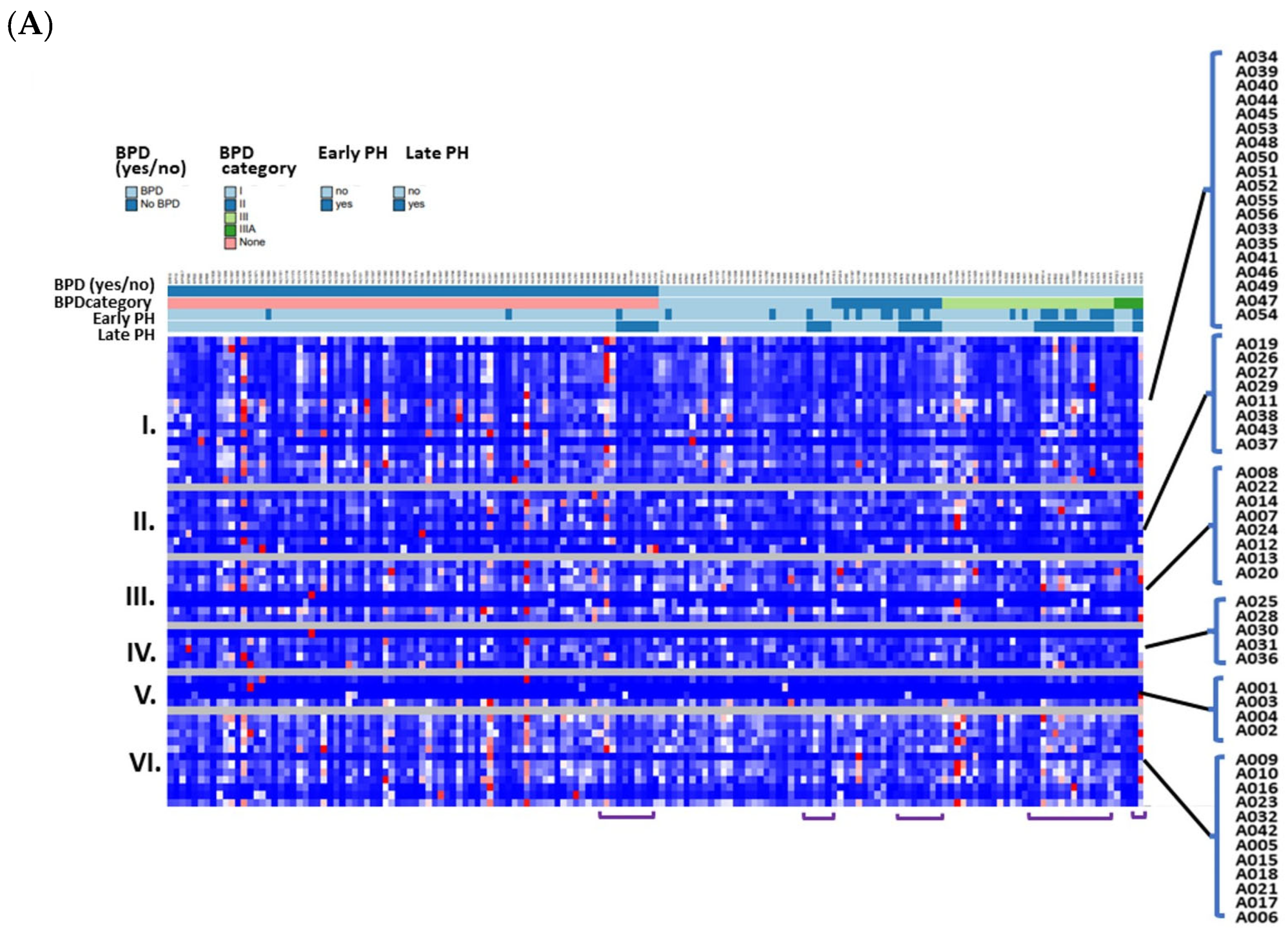 Antioxidants 13 00494 g005a