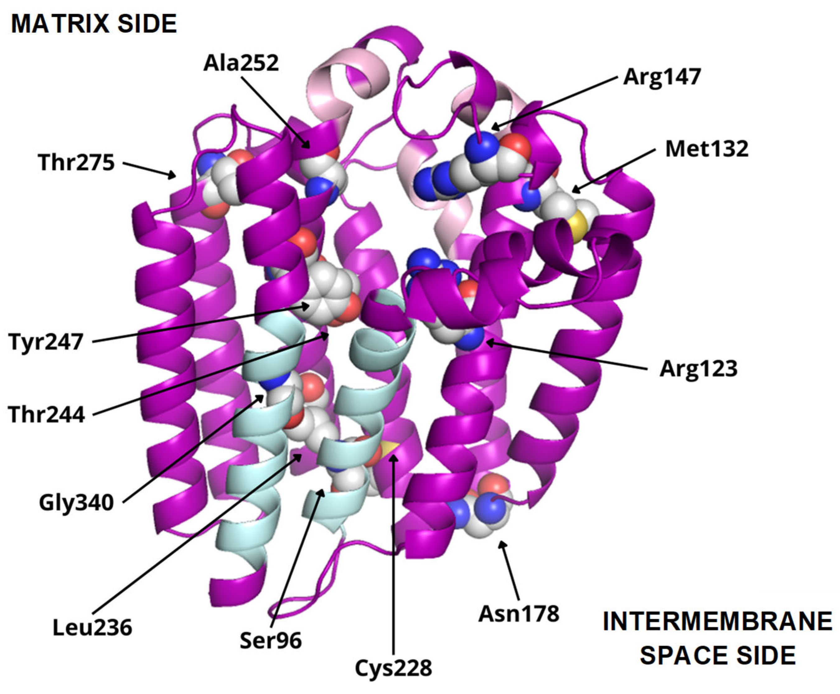 Antioxidants 13 00496 g006