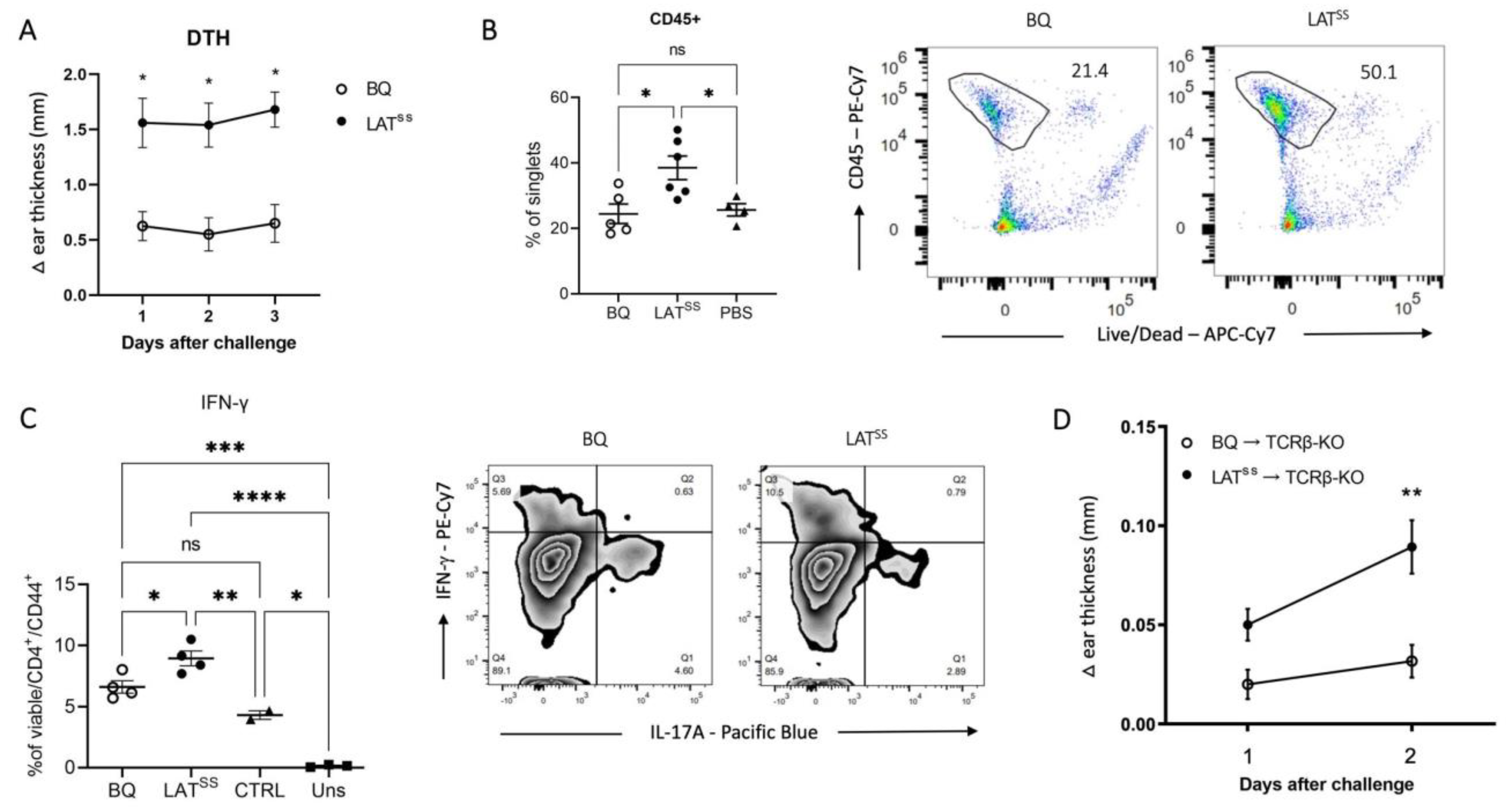Antioxidants 13 00499 g003