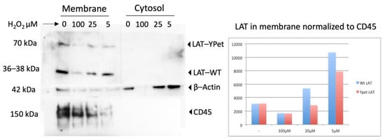 Antioxidants 13 00499 g0a1