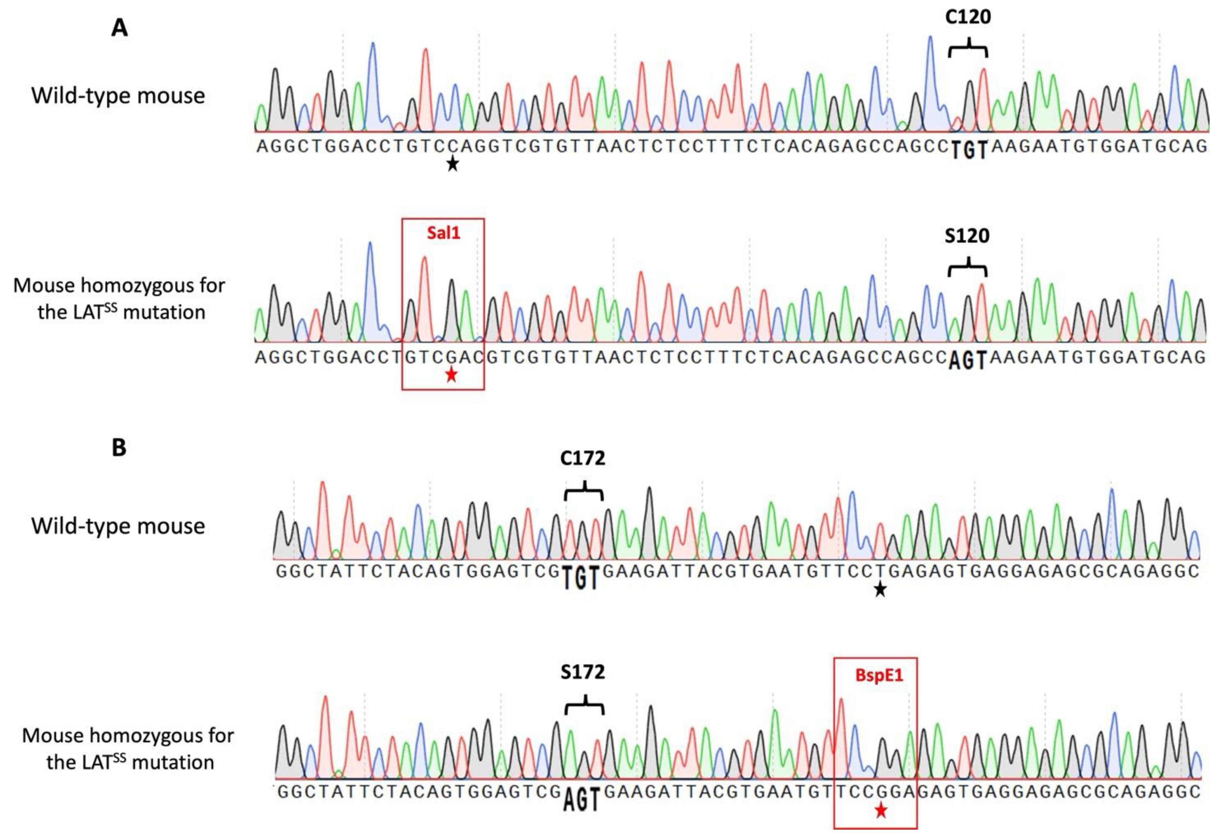 Antioxidants 13 00499 g0a2