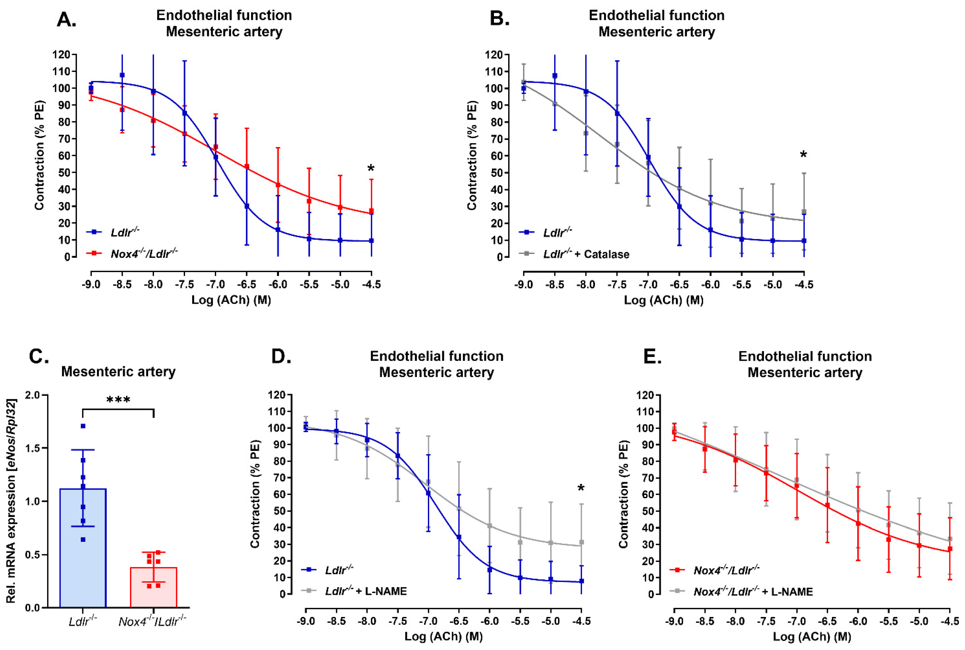 Antioxidants 13 00503 g002