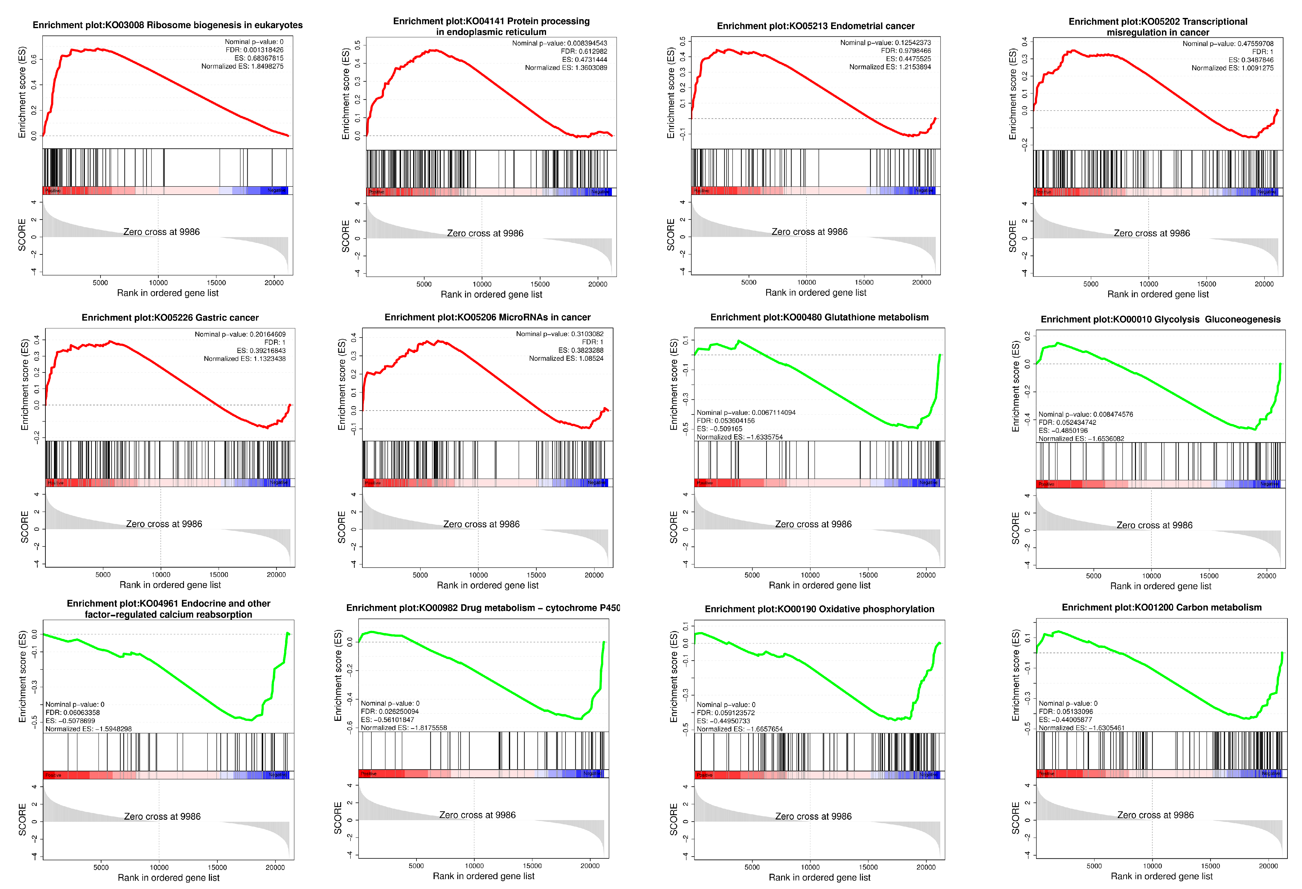Antioxidants 13 00506 g005