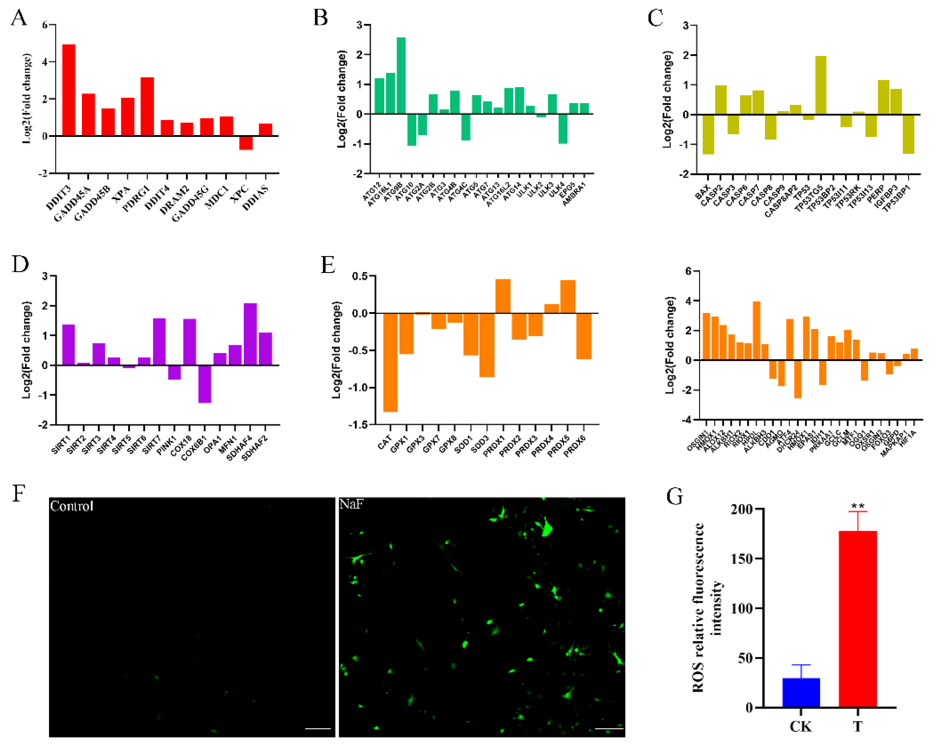 Antioxidants 13 00506 g006