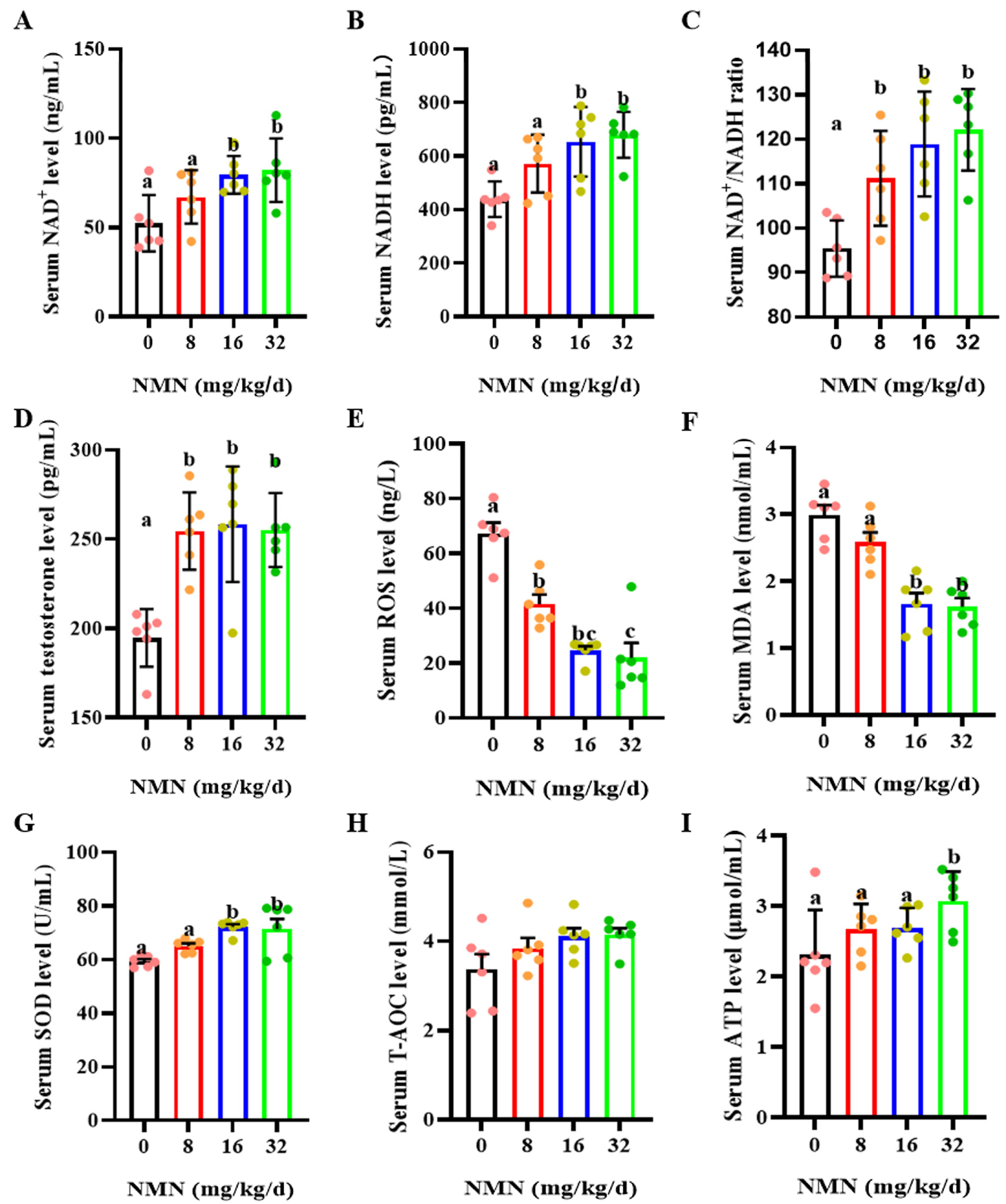 Antioxidants 13 00507 g002