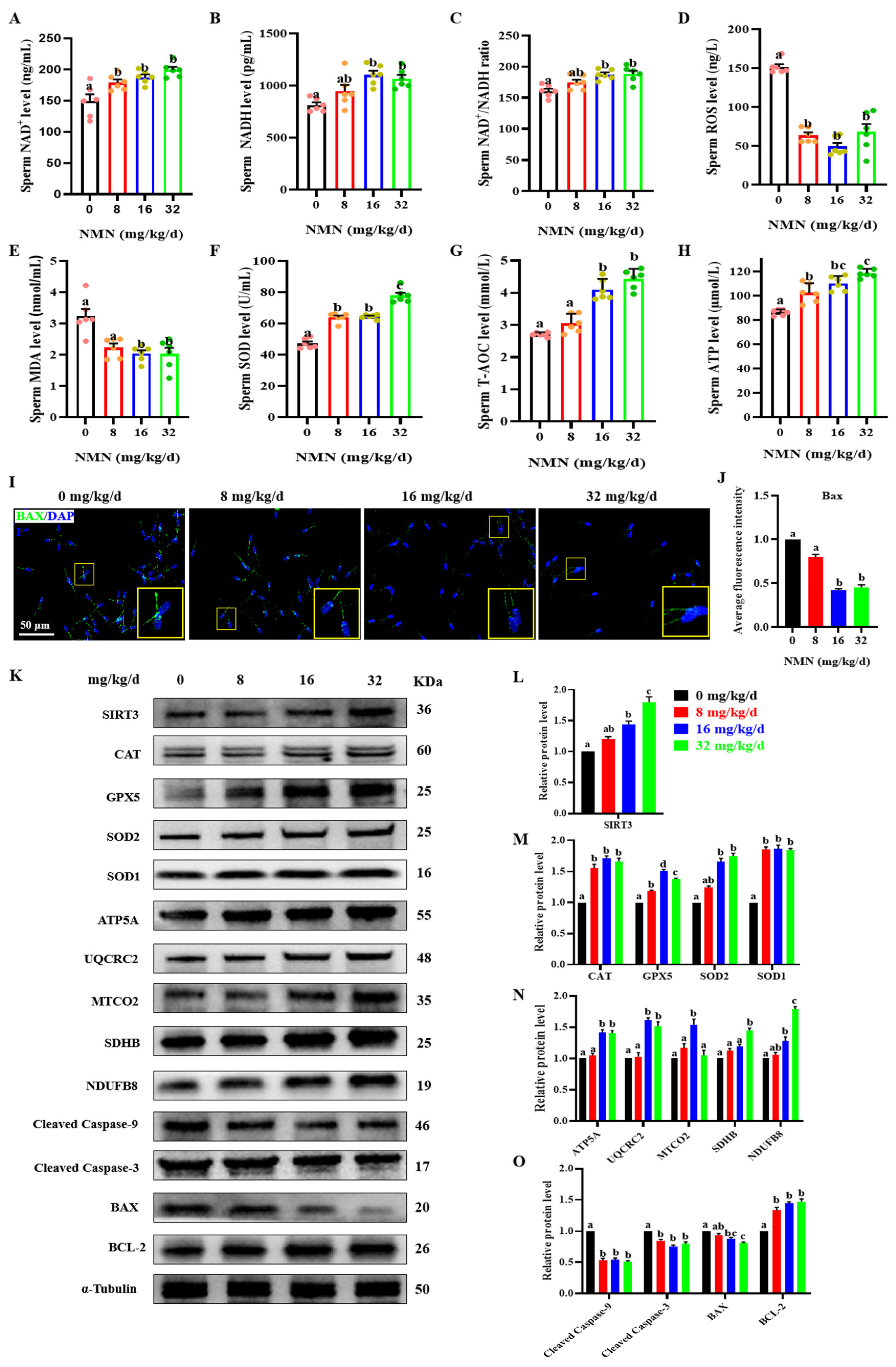 Antioxidants 13 00507 g003