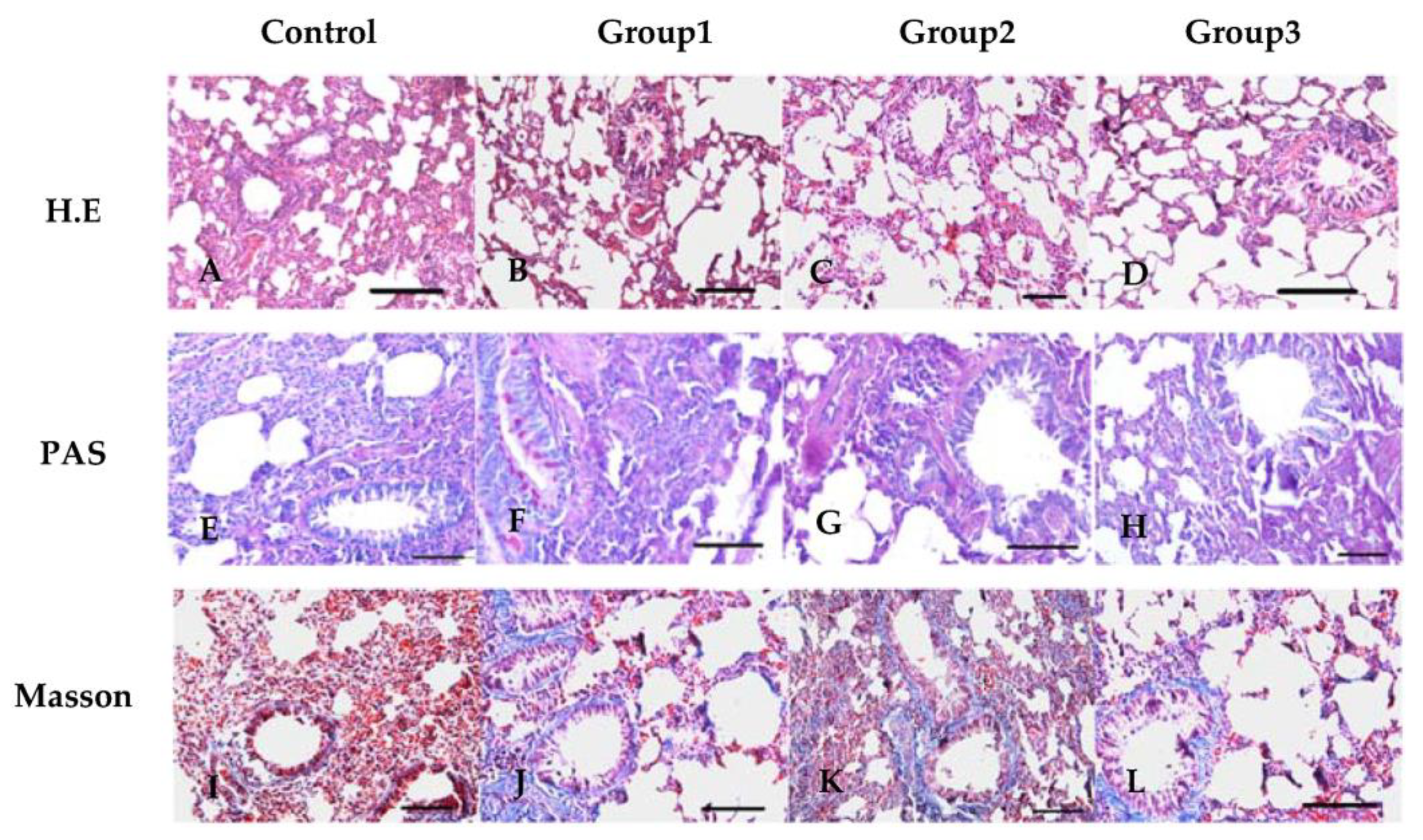 Antioxidants 13 00511 g001a