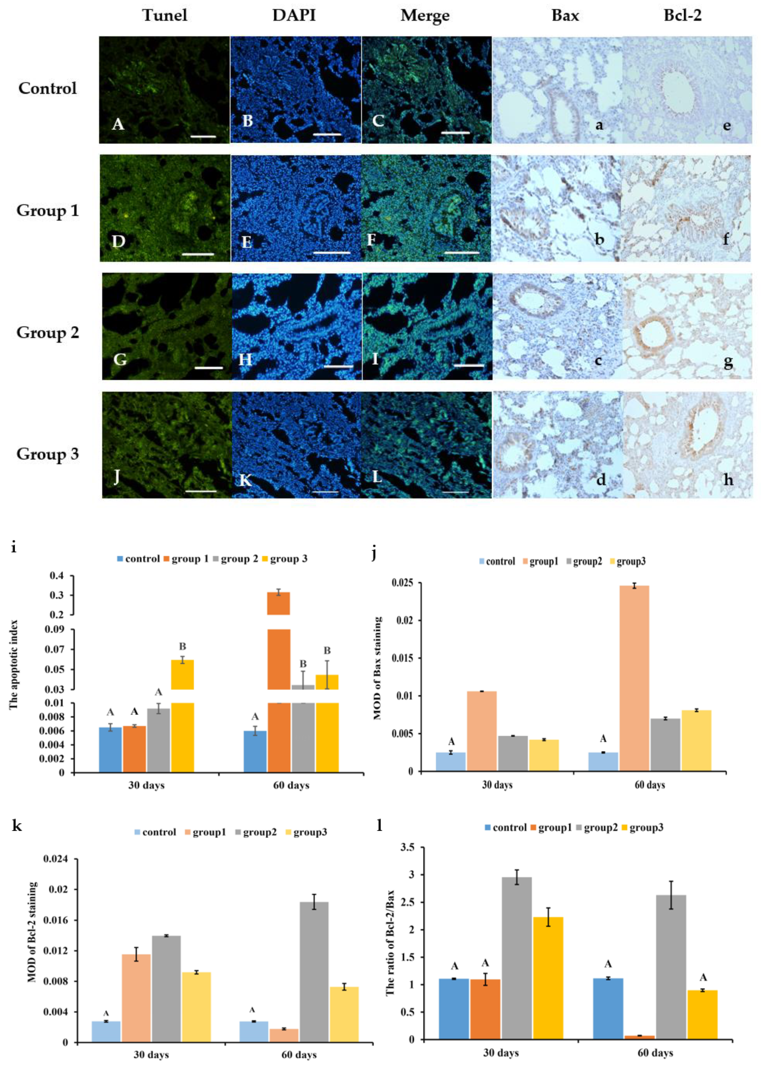 Antioxidants 13 00511 g002