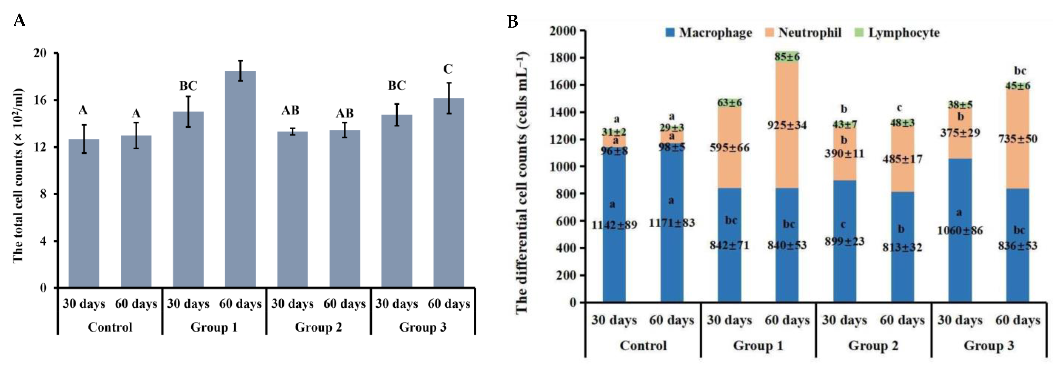 Antioxidants 13 00511 g003