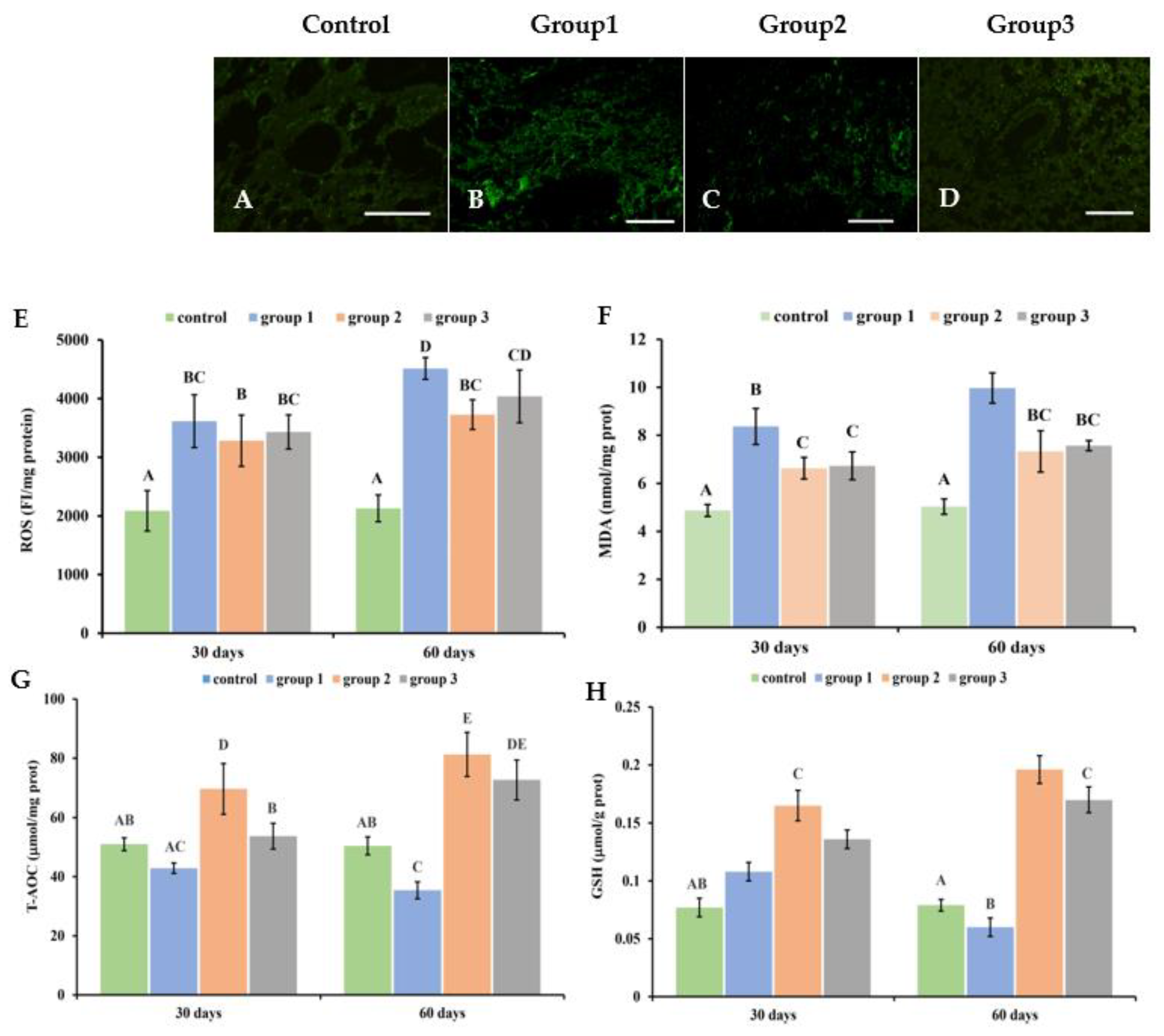 Antioxidants 13 00511 g004