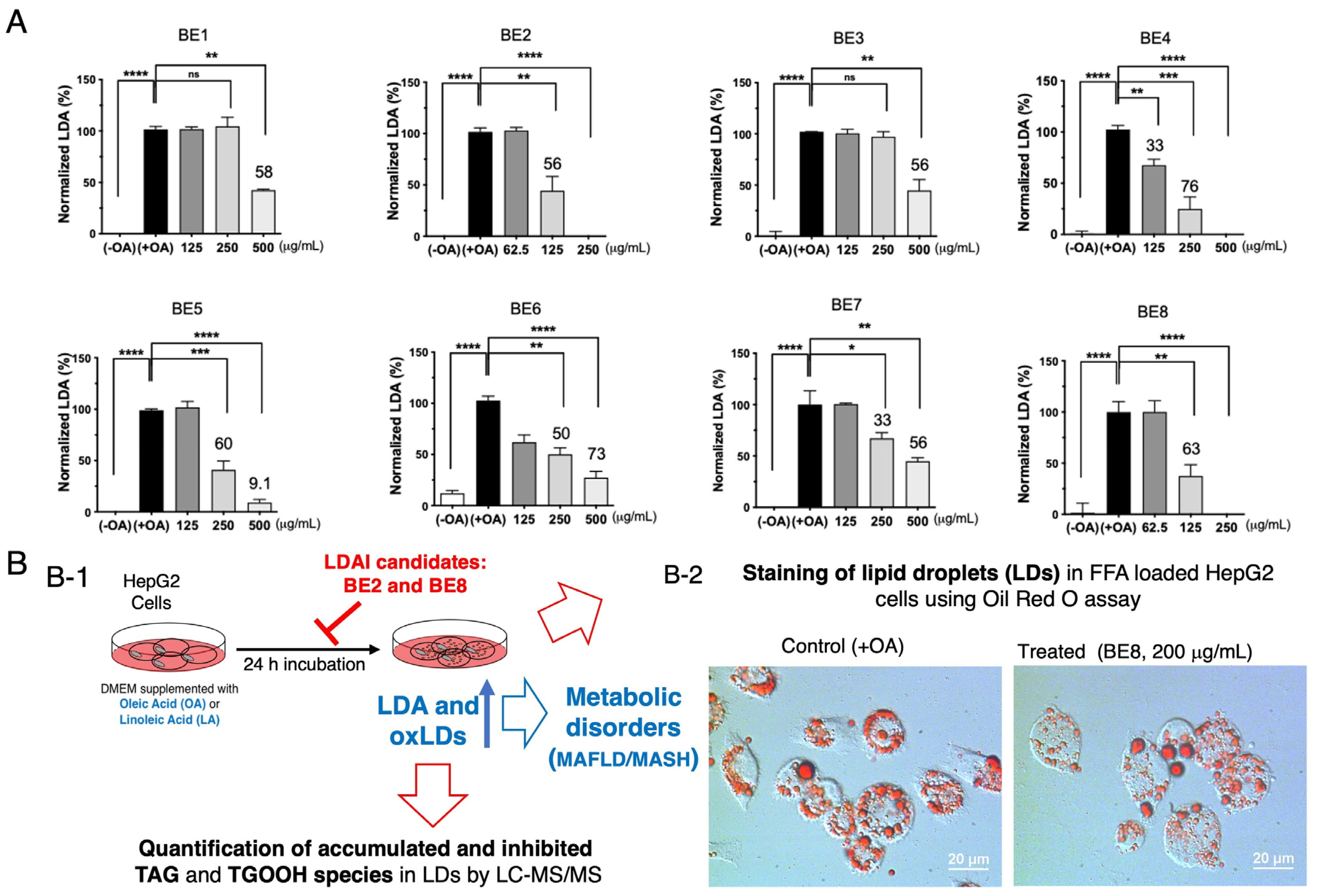 Antioxidants 13 00513 g001