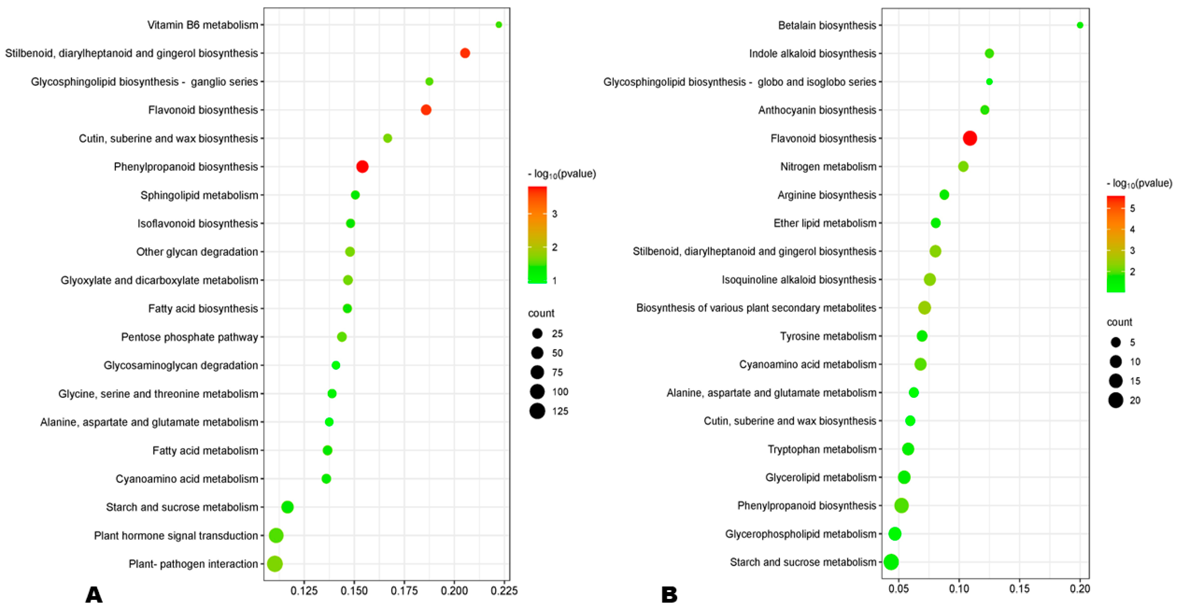 Antioxidants 13 00514 g006