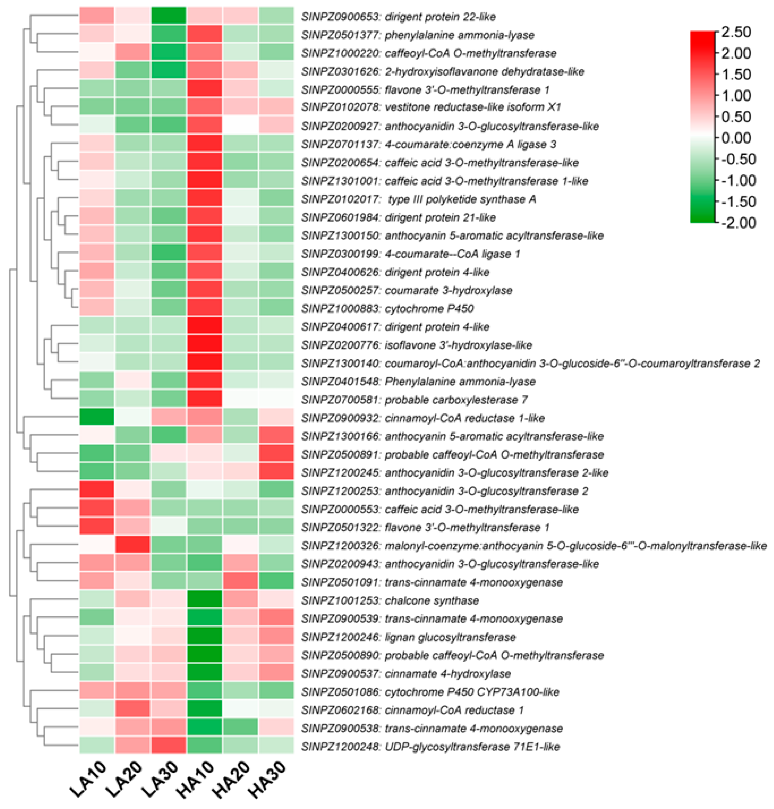 Antioxidants 13 00514 g007