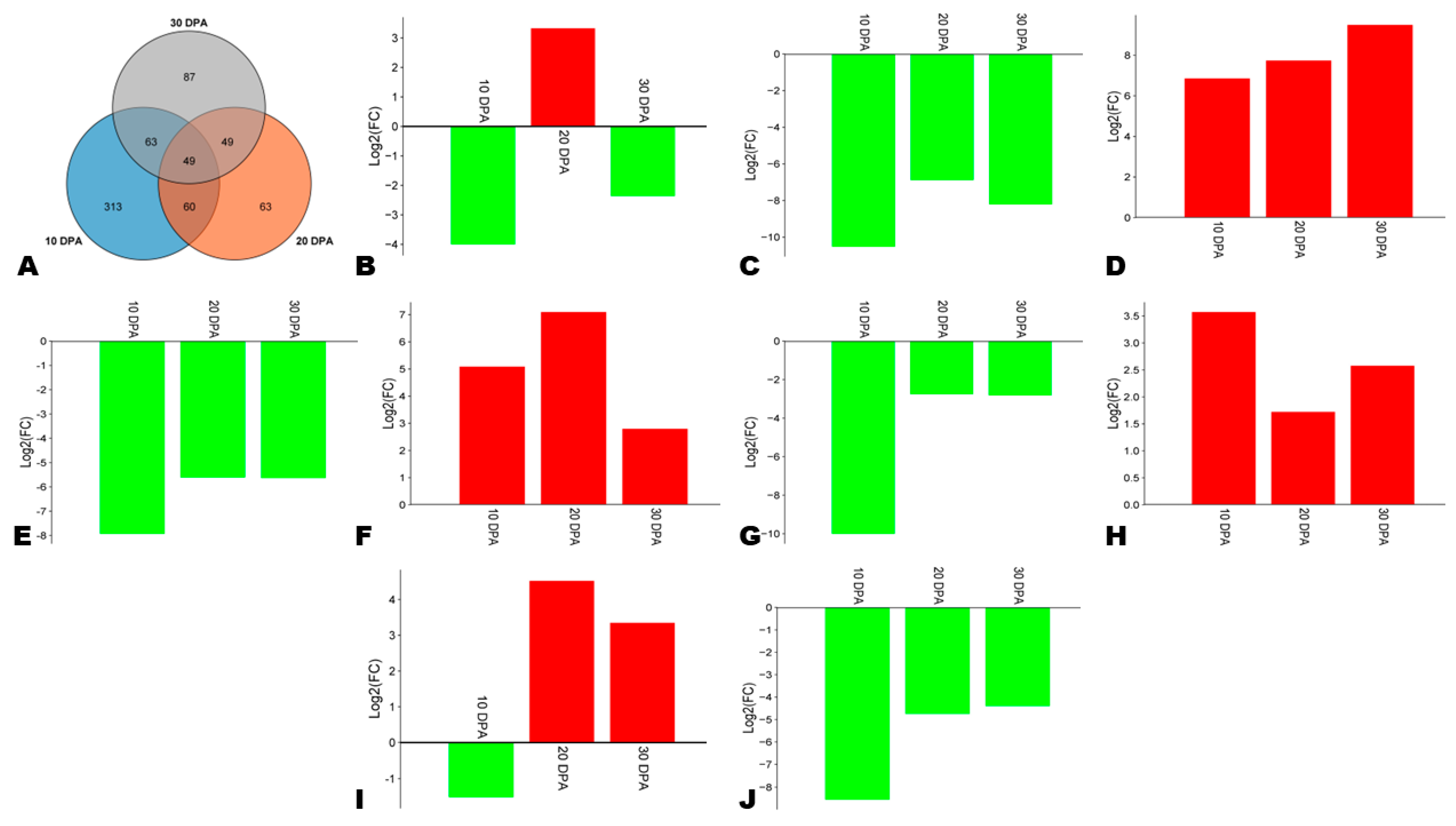 Antioxidants 13 00514 g008
