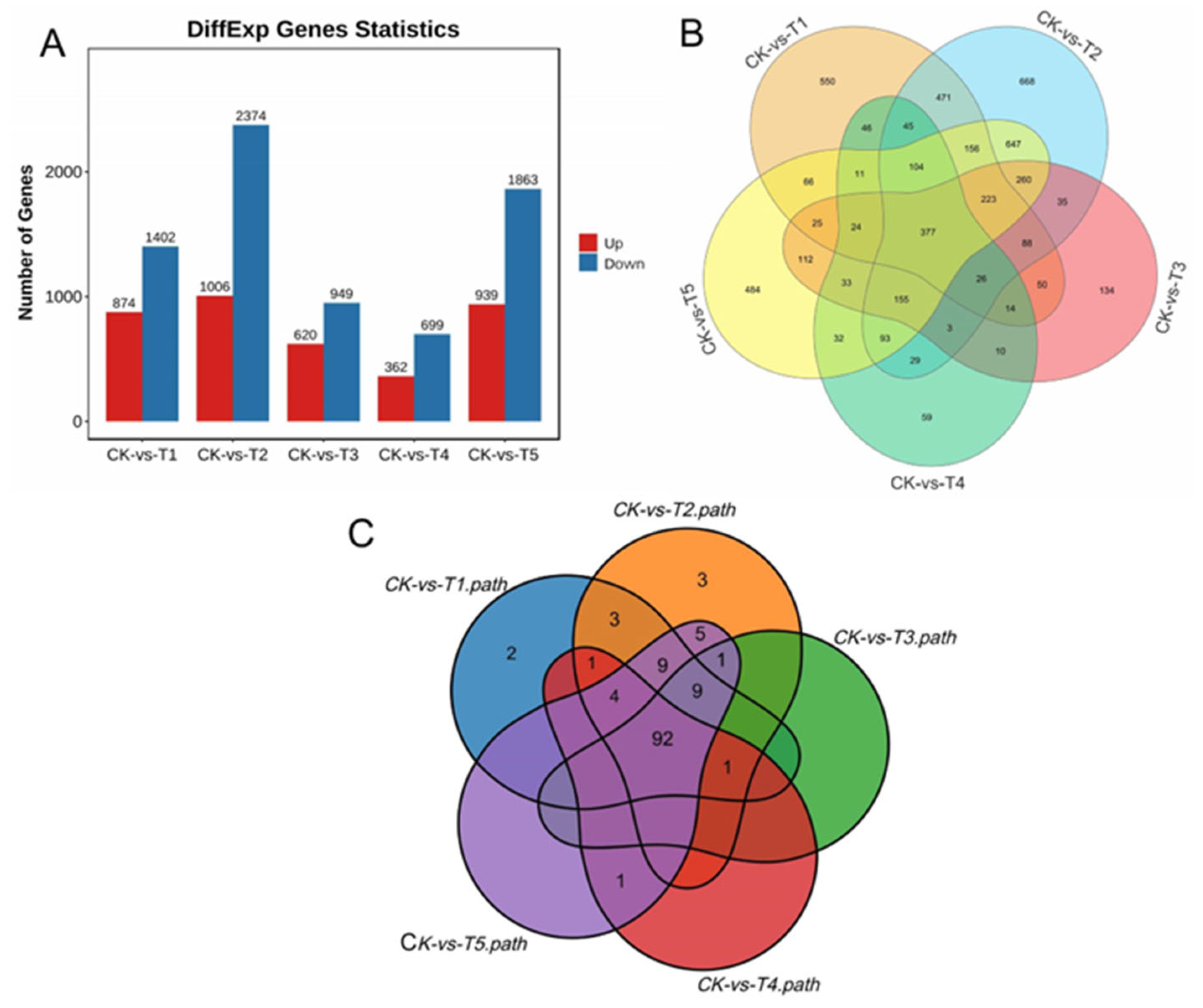 Antioxidants 13 00516 g005