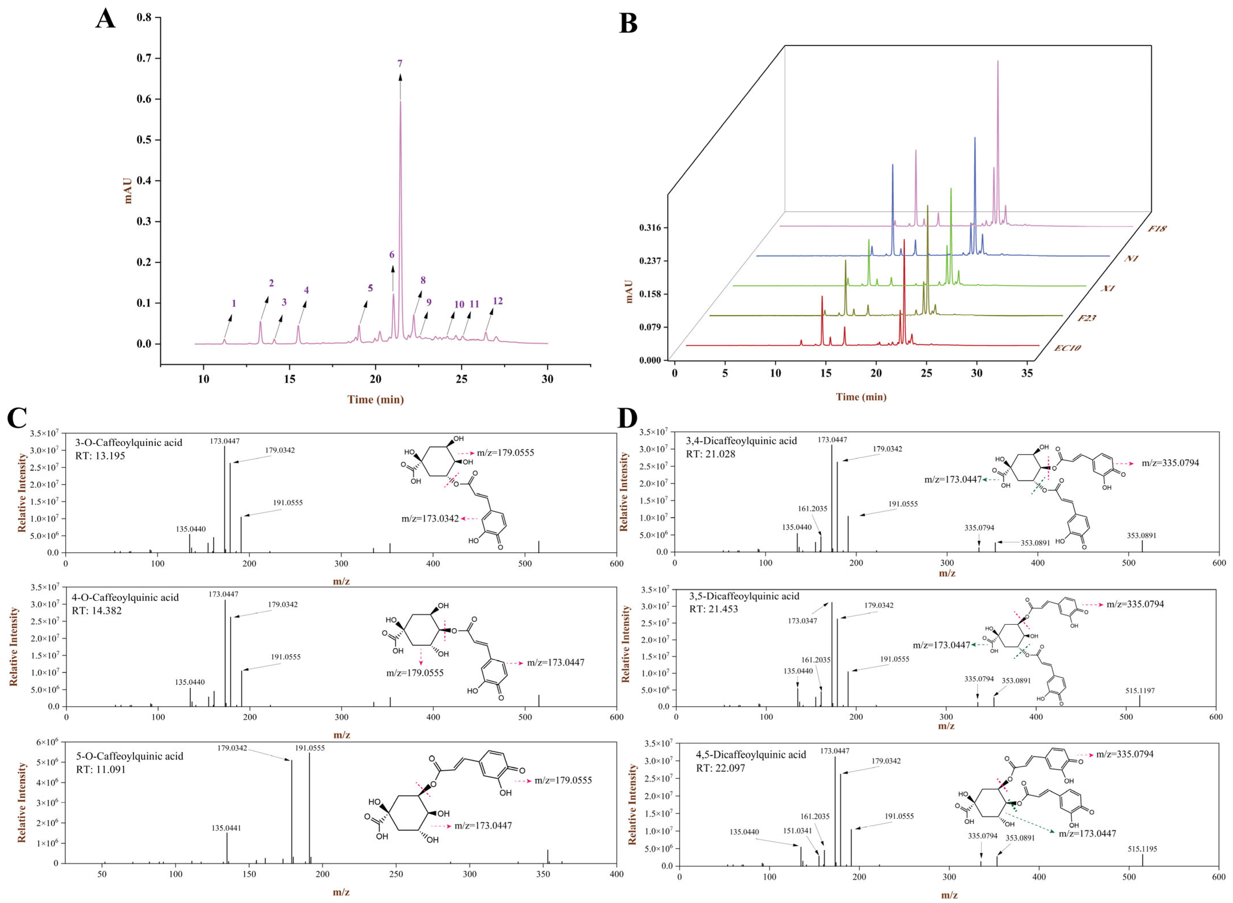 Antioxidants 13 00520 g002