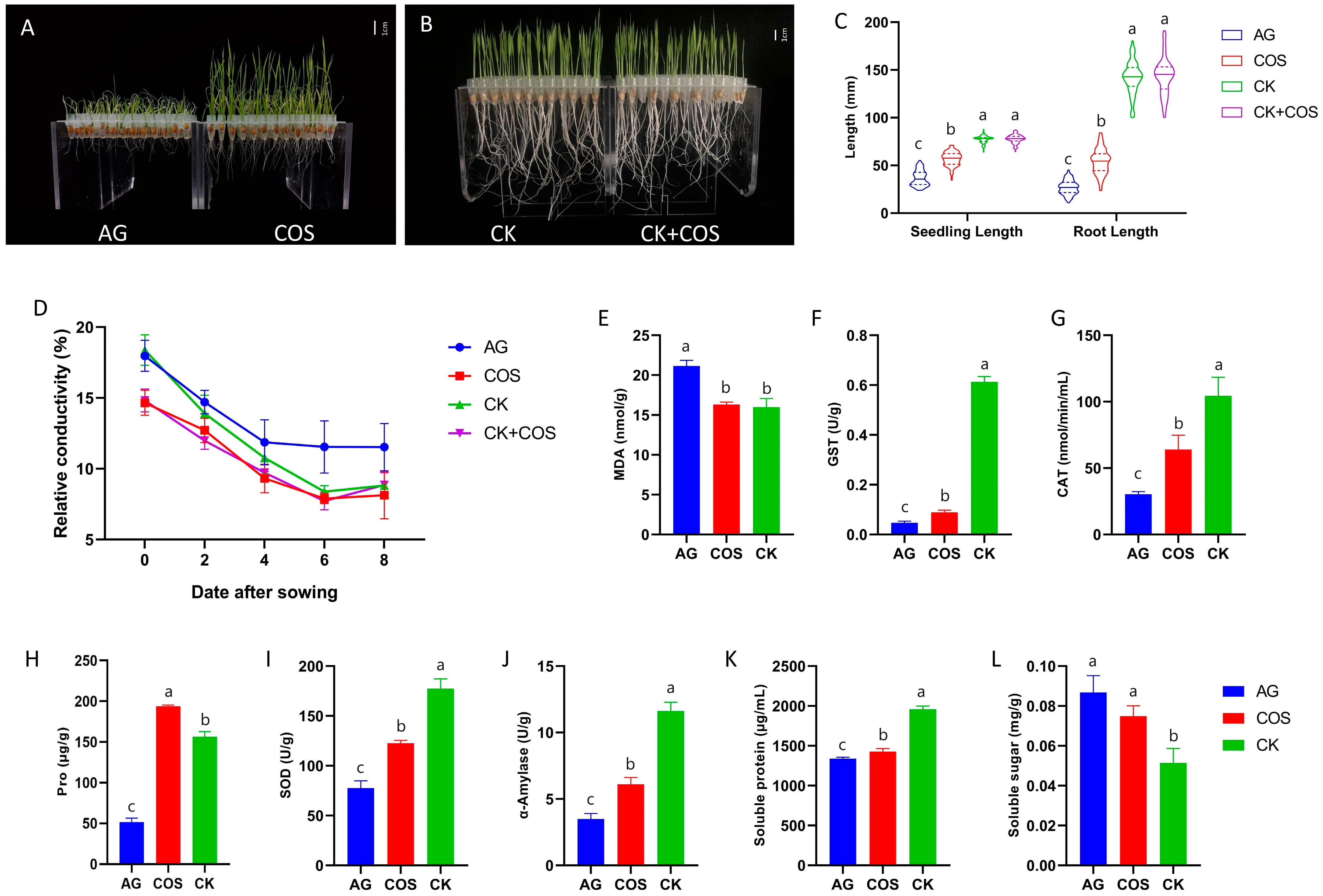 Antioxidants 13 00521 g001