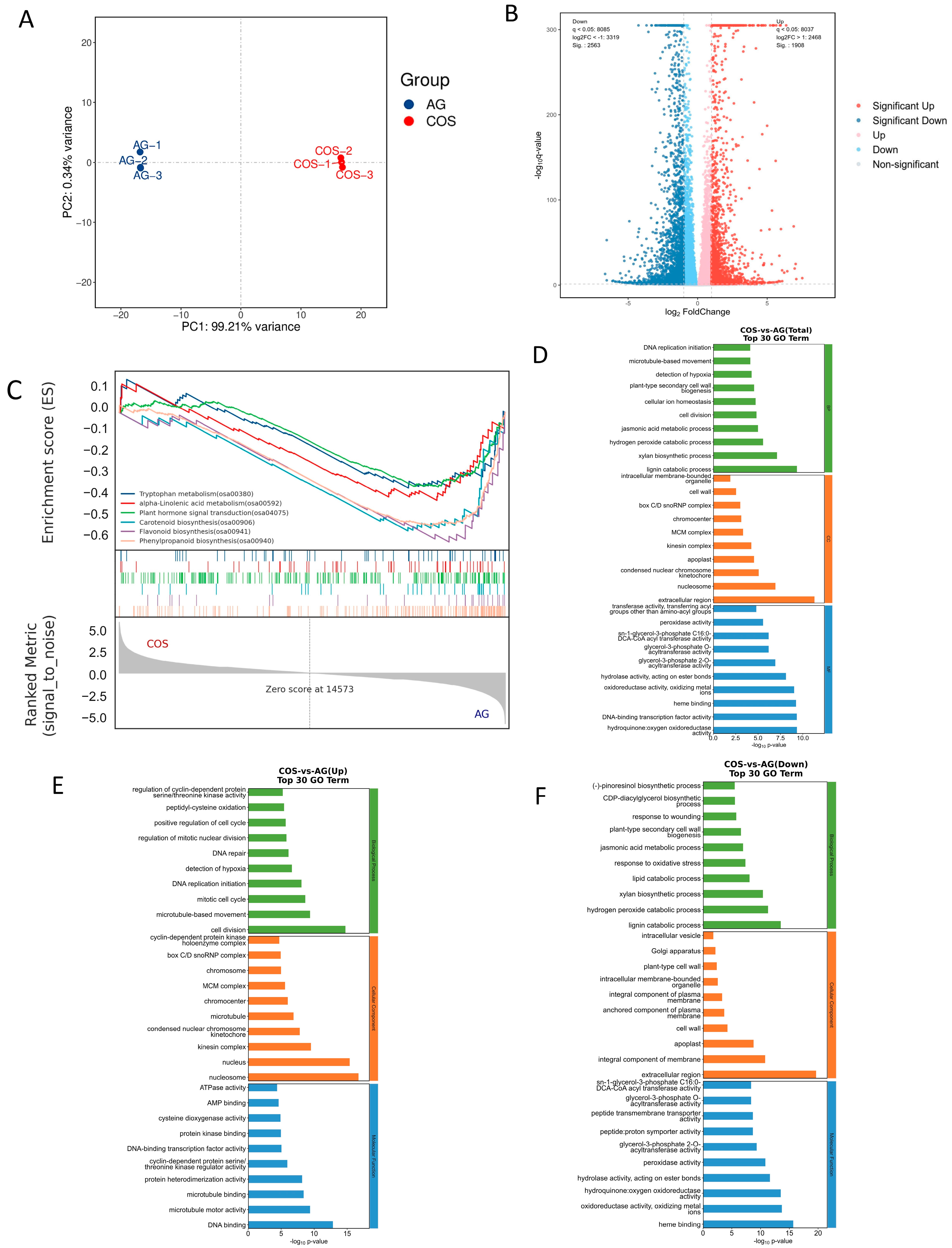 Antioxidants 13 00521 g002