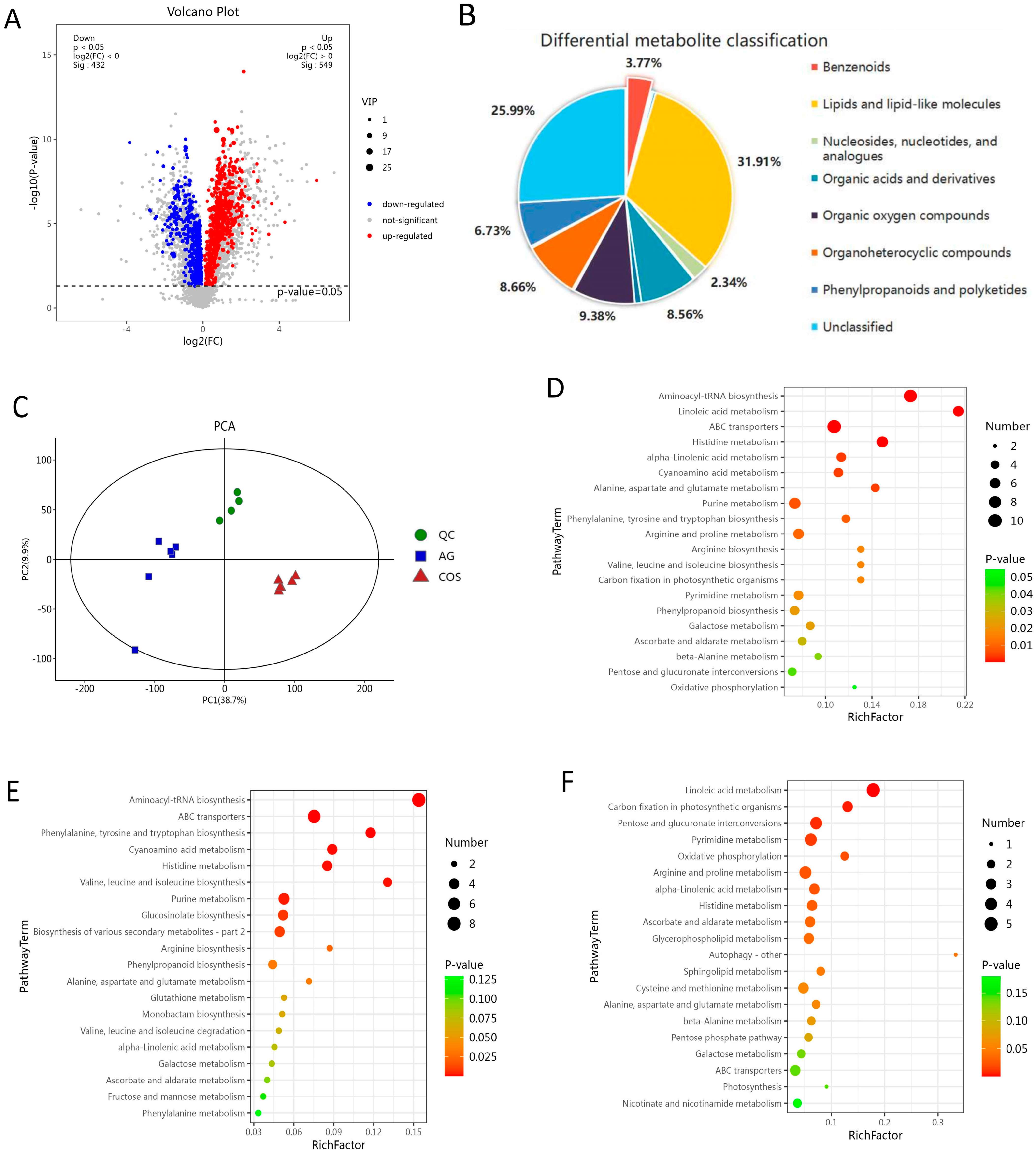 Antioxidants 13 00521 g003