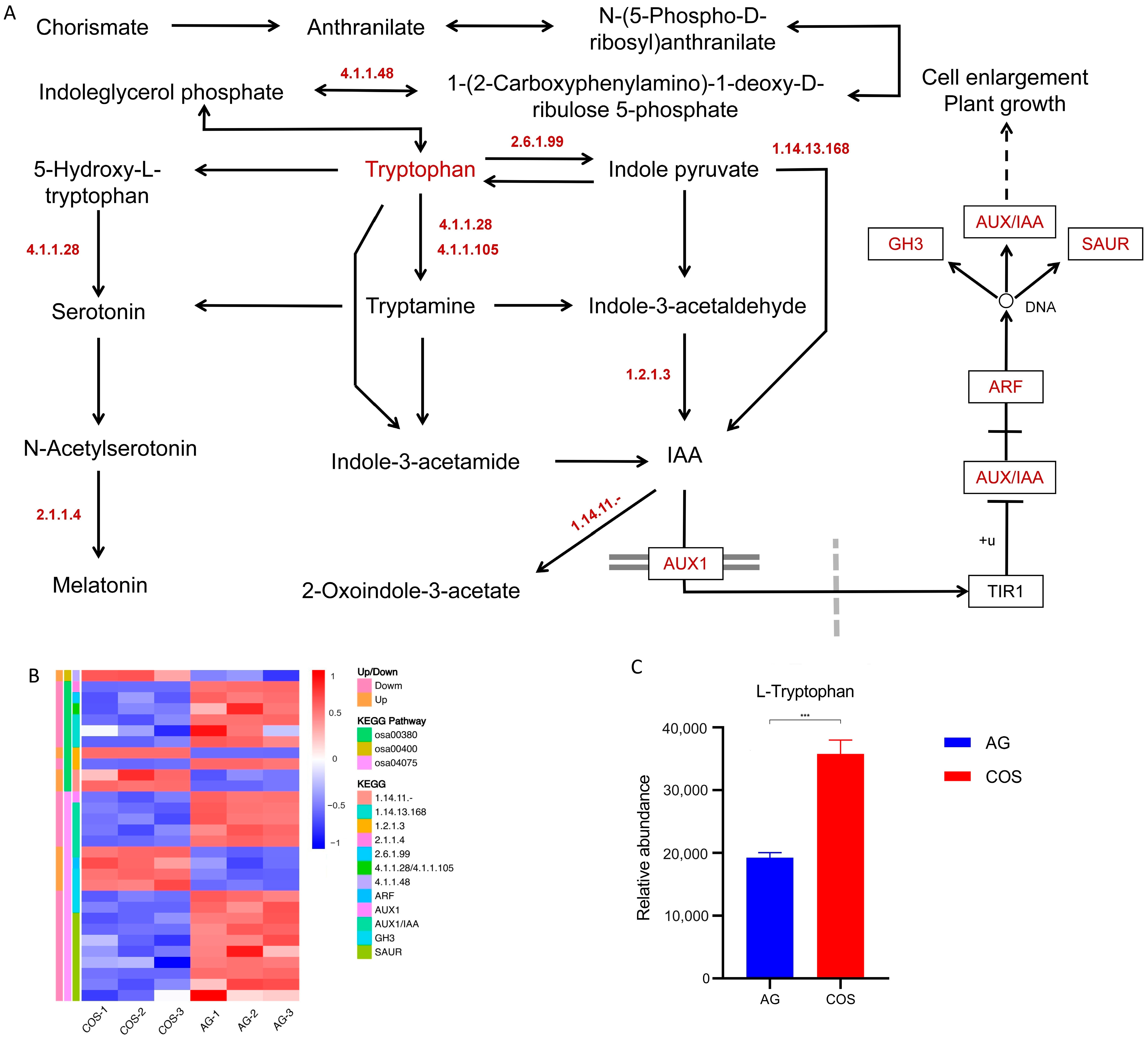 Antioxidants 13 00521 g004