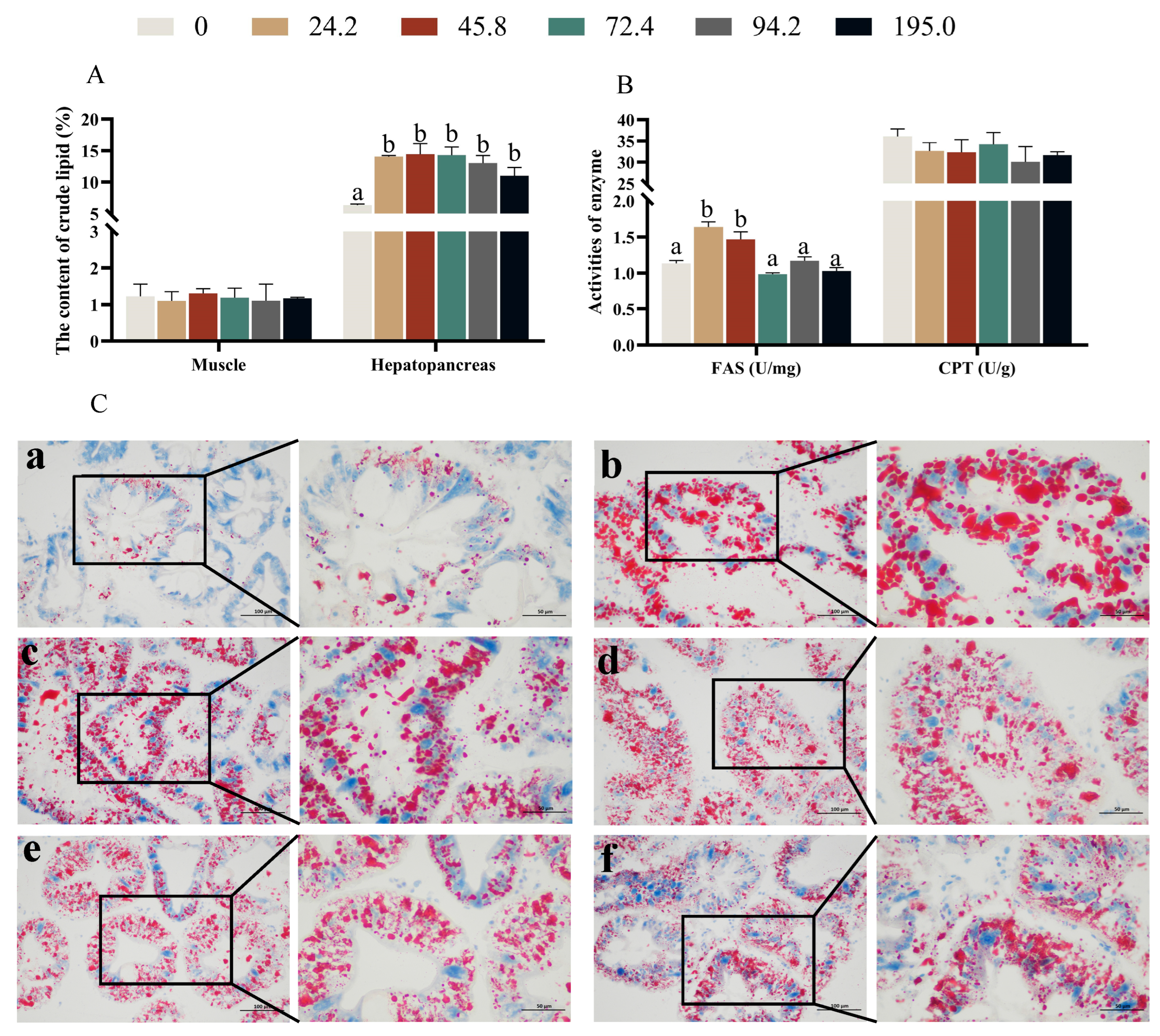 Antioxidants 13 00522 g004