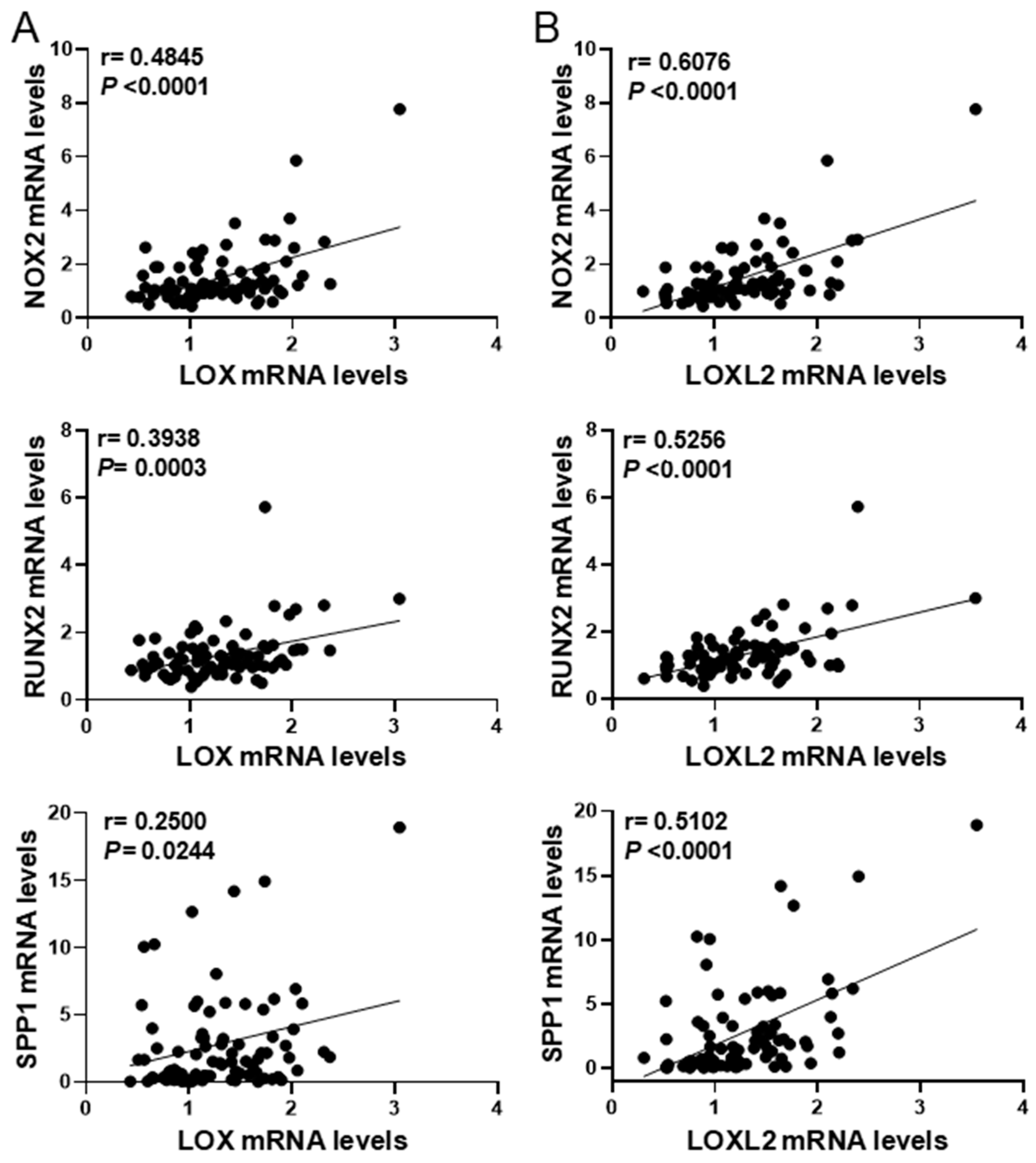 Antioxidants 13 00523 g004