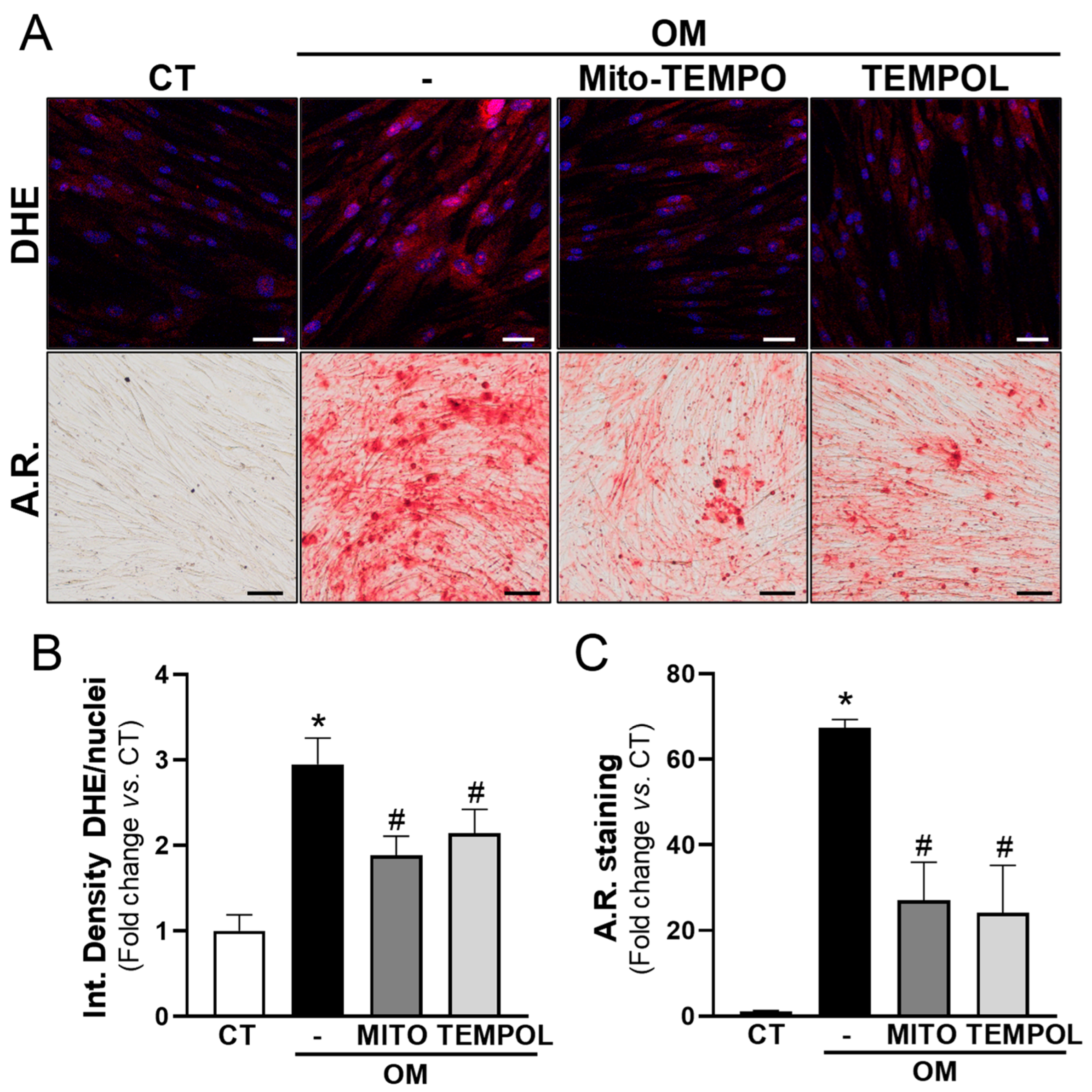 Antioxidants 13 00523 g005