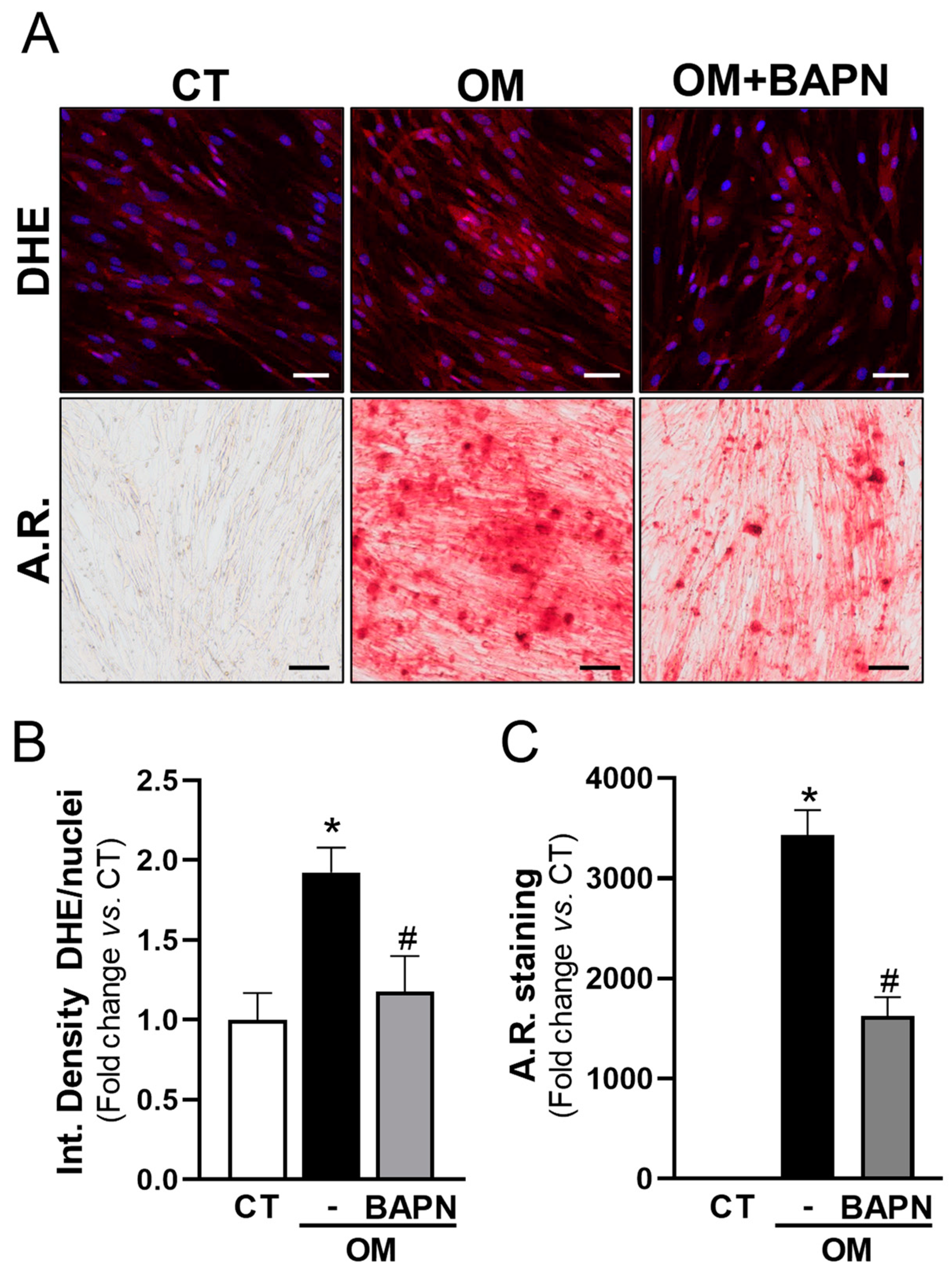 Antioxidants 13 00523 g006