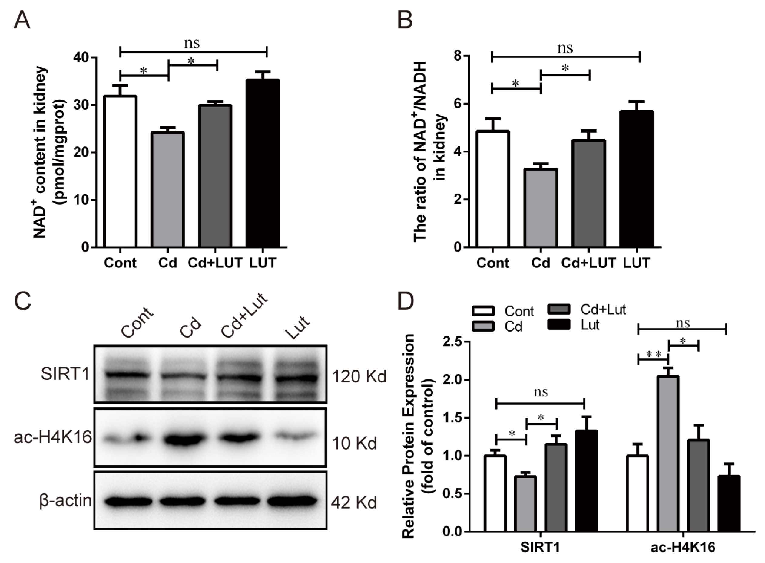 Antioxidants 13 00525 g008