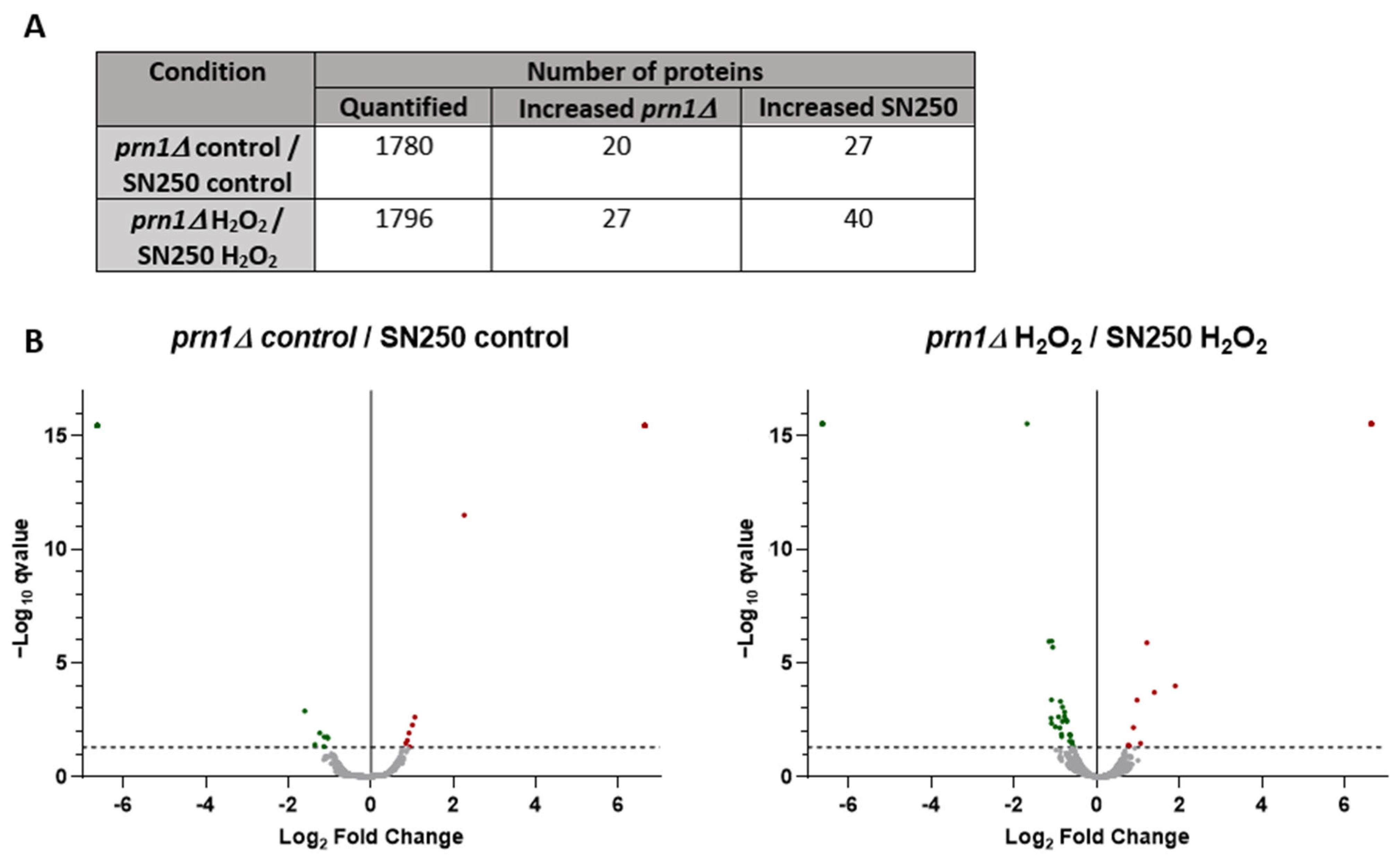 Antioxidants 13 00527 g005