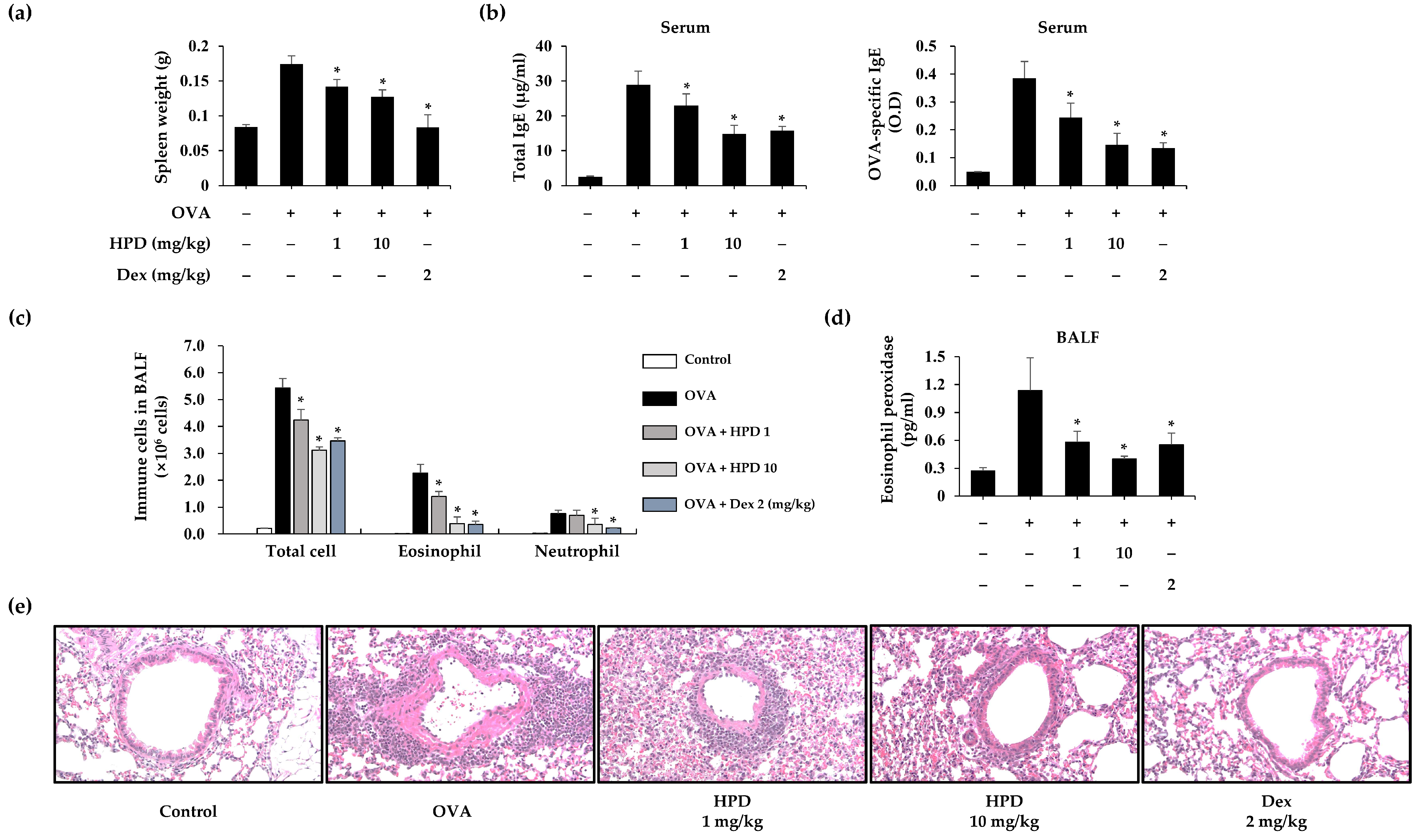 Antioxidants 13 00528 g001