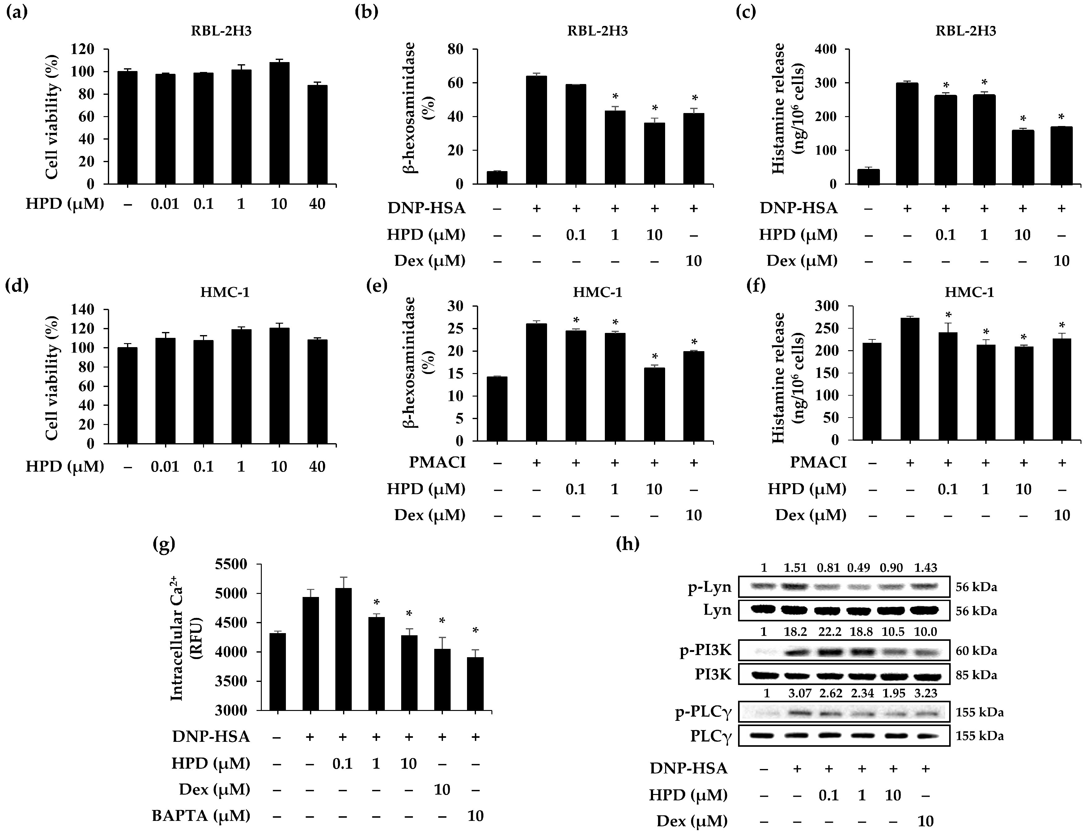 Antioxidants 13 00528 g004