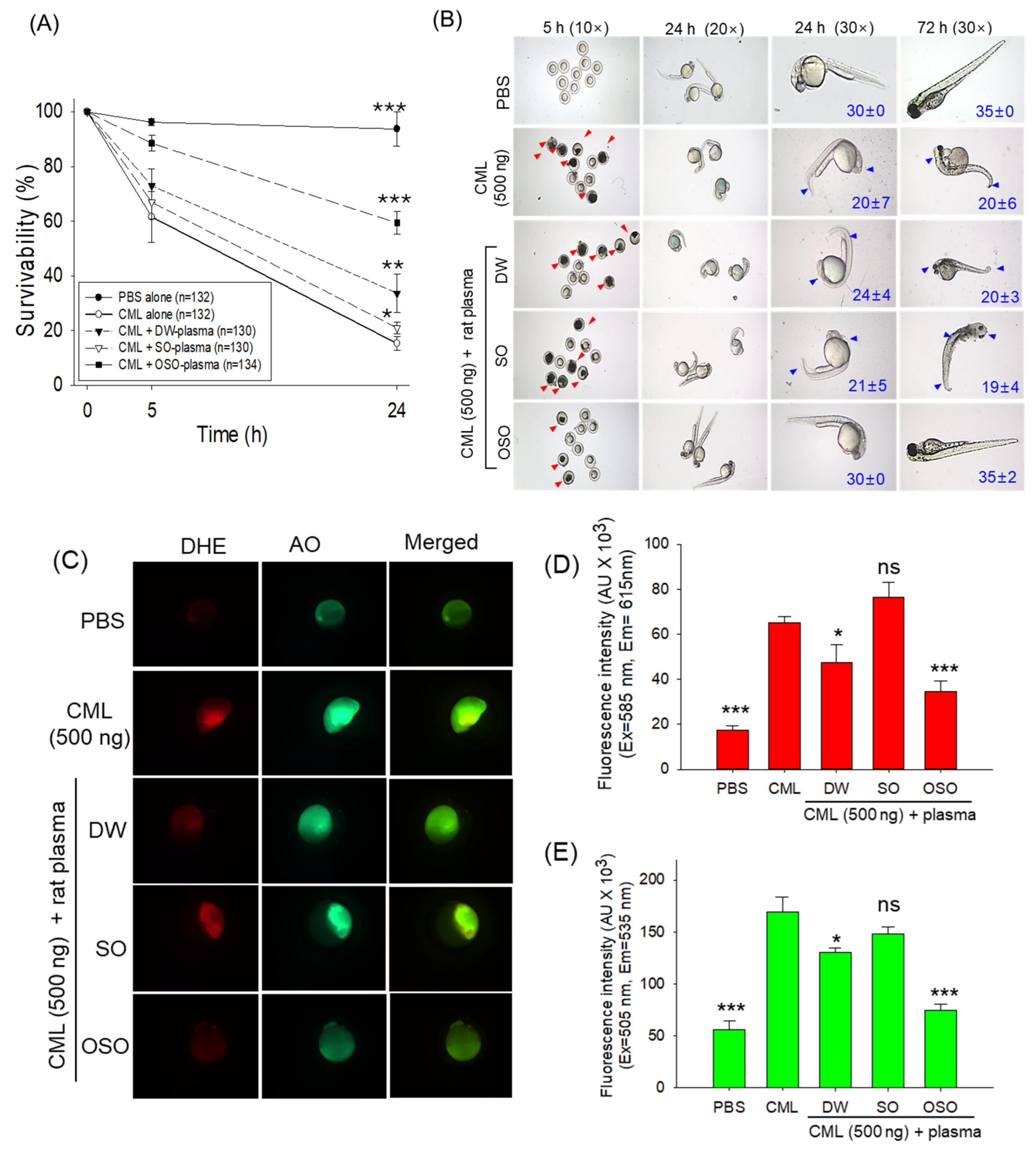 Antioxidants 13 00529 g002
