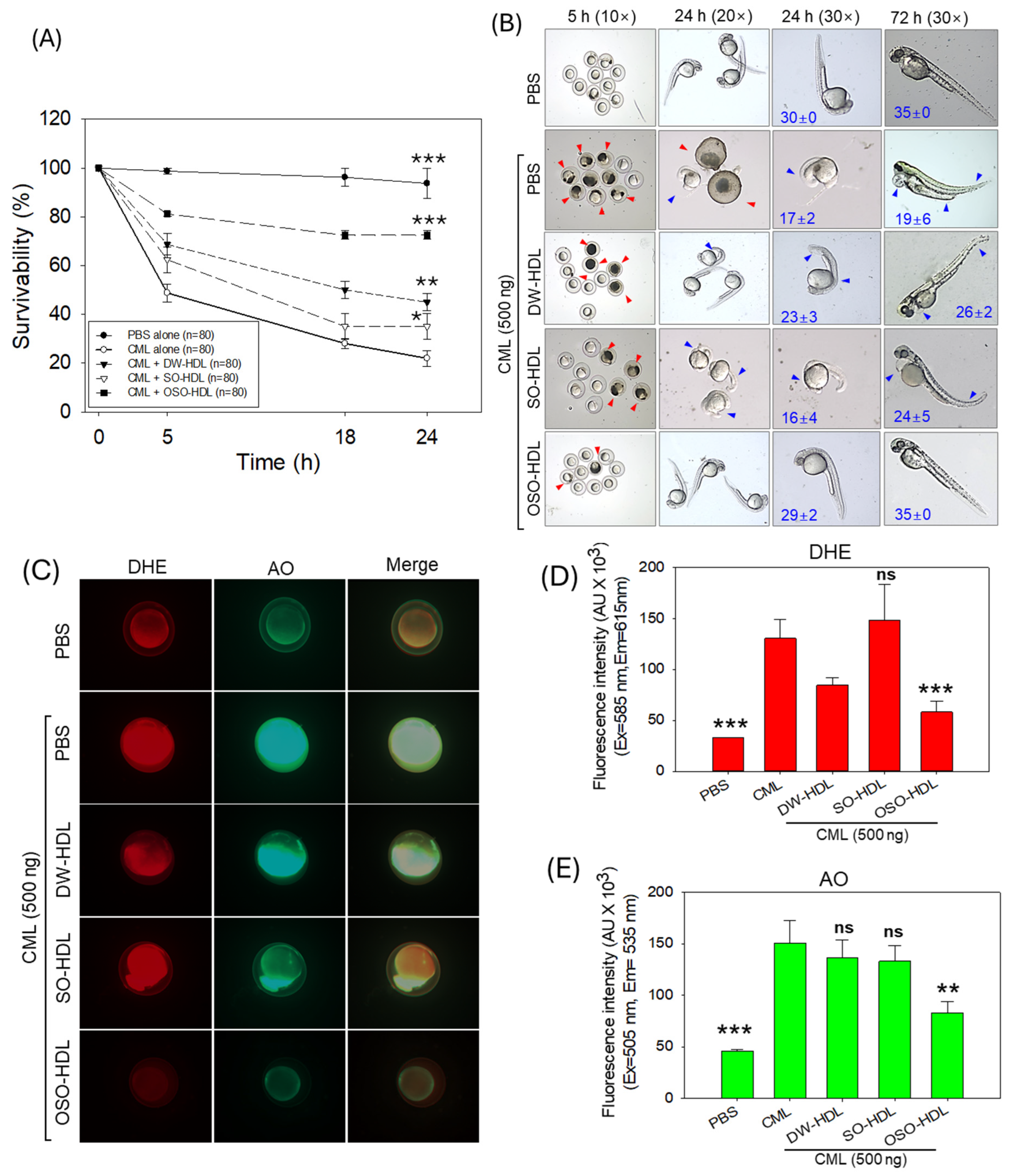 Antioxidants 13 00529 g005