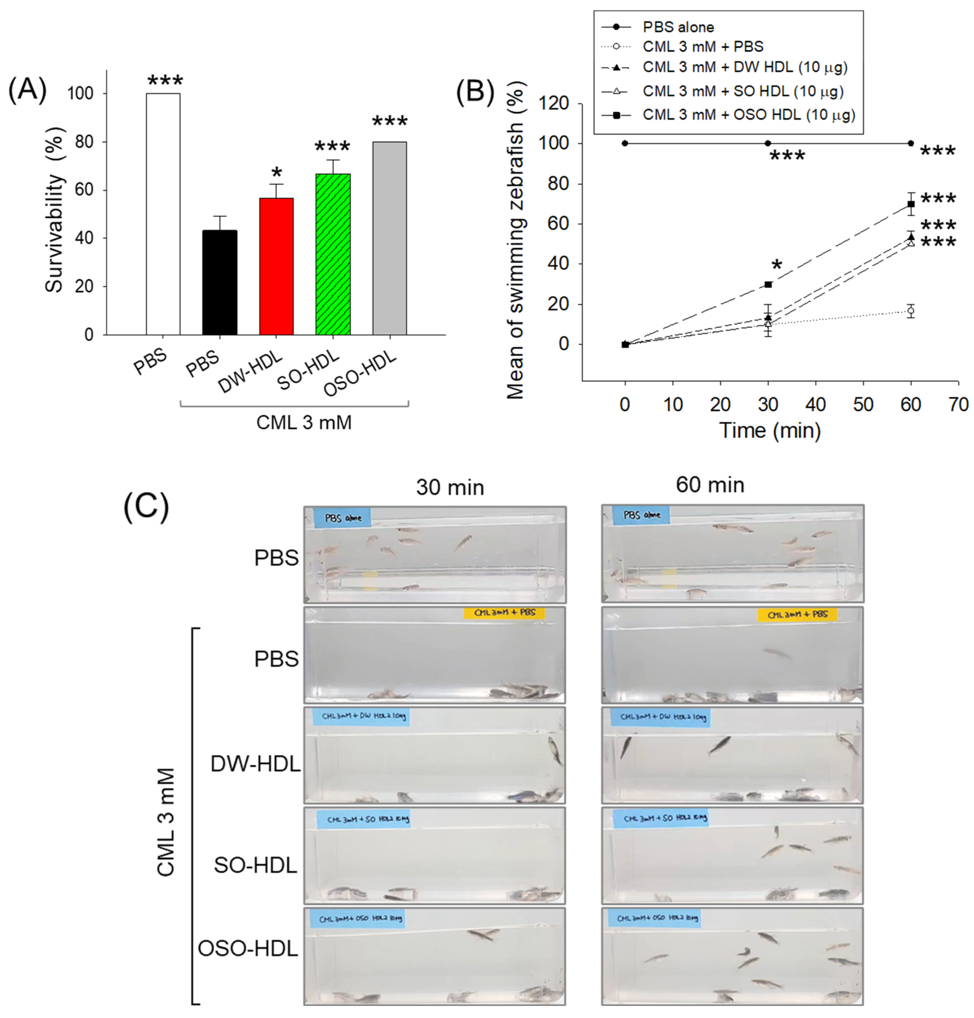 Antioxidants 13 00529 g006