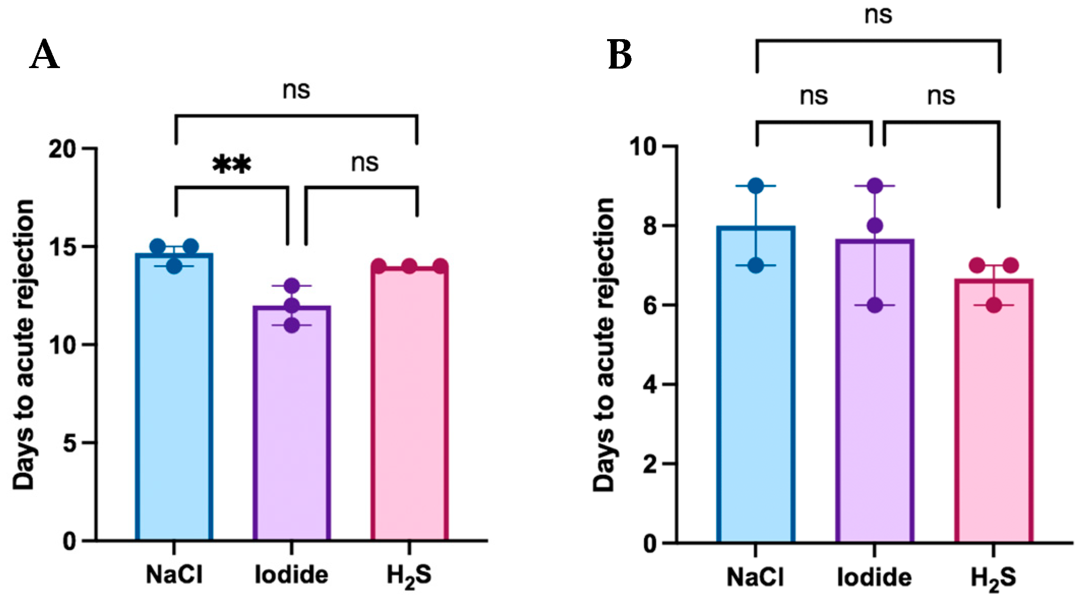 Antioxidants 13 00531 g002