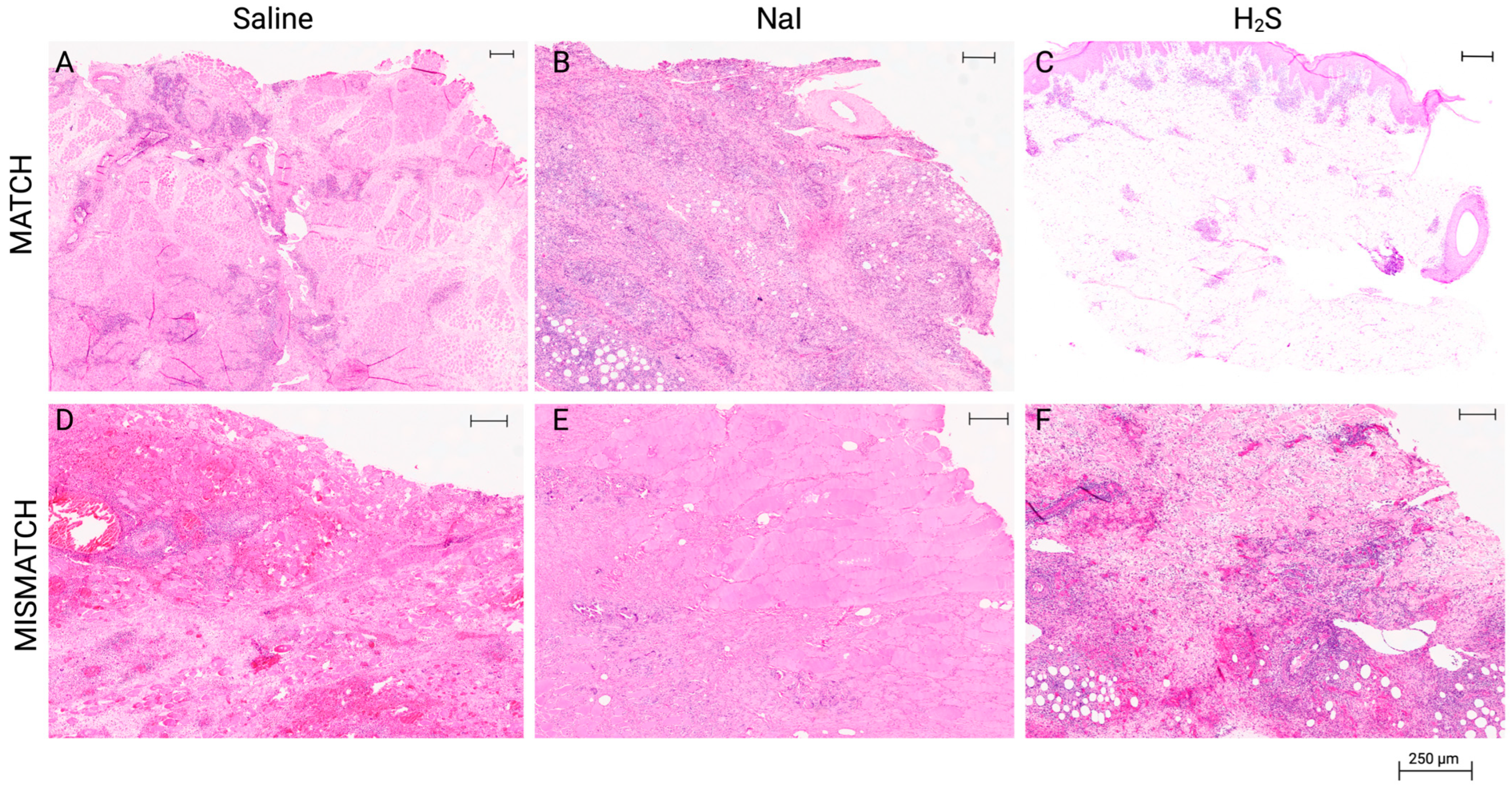 Antioxidants 13 00531 g005