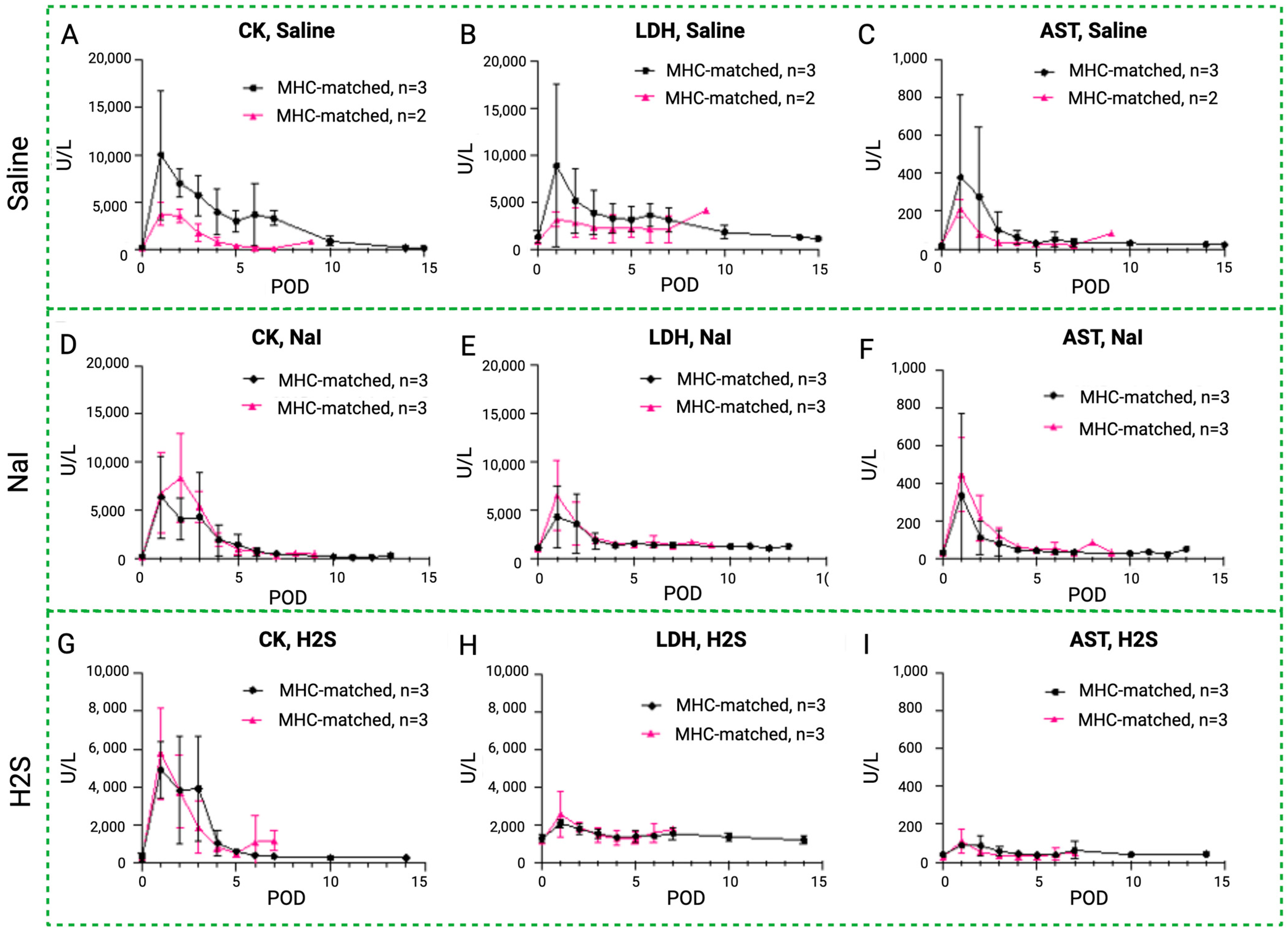 Antioxidants 13 00531 g008